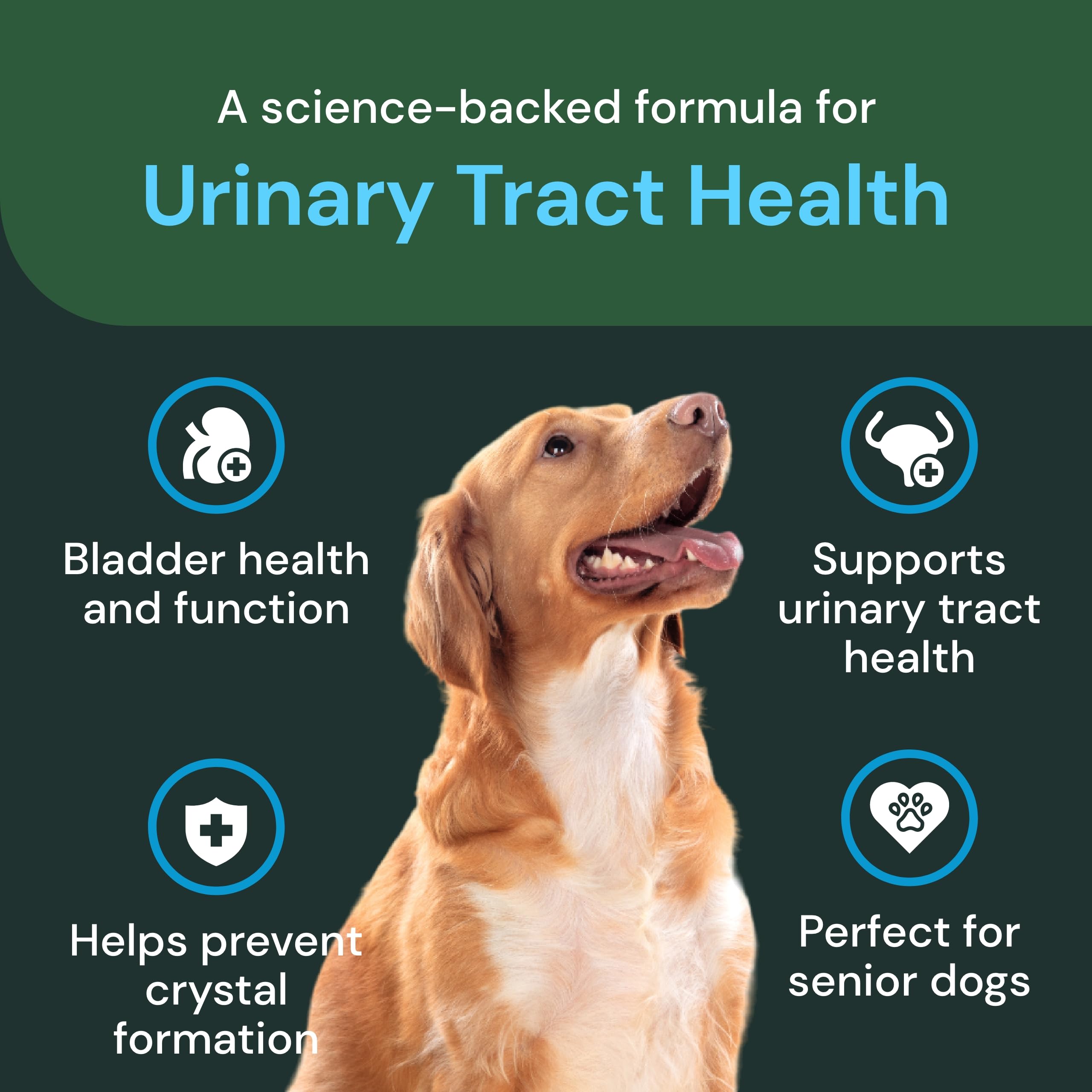 VetriScience UT Strength Pro - Bladder & UT Health Supplement for Dogs - Formula Aids Bladder Function & Comfort - Canine Supple