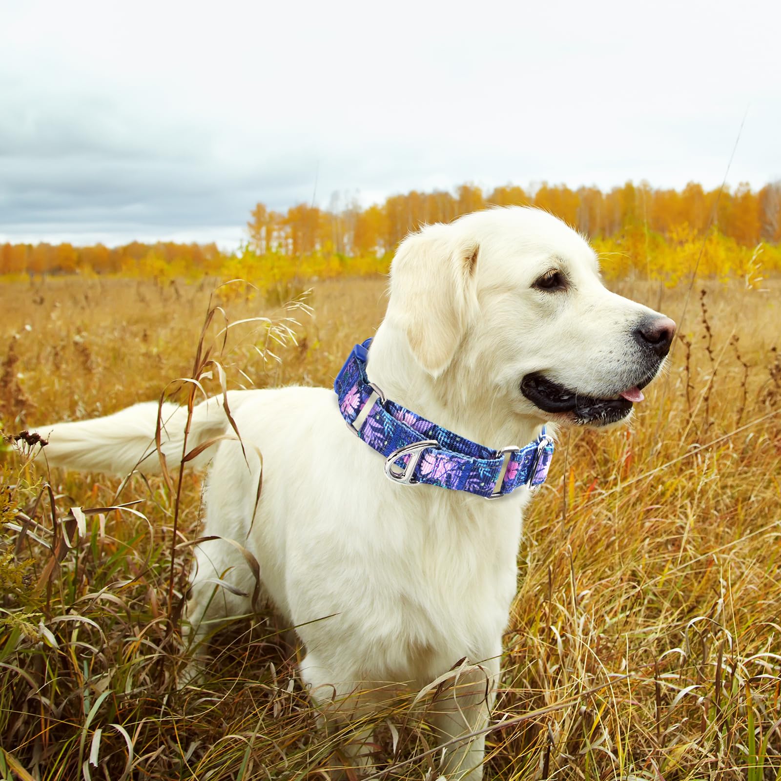 Martingale Collar For Dogs, Reflective Adjustable Soft Nylon Dog Collars With Boho Flower Patterns For Small Medium Large Dog (S