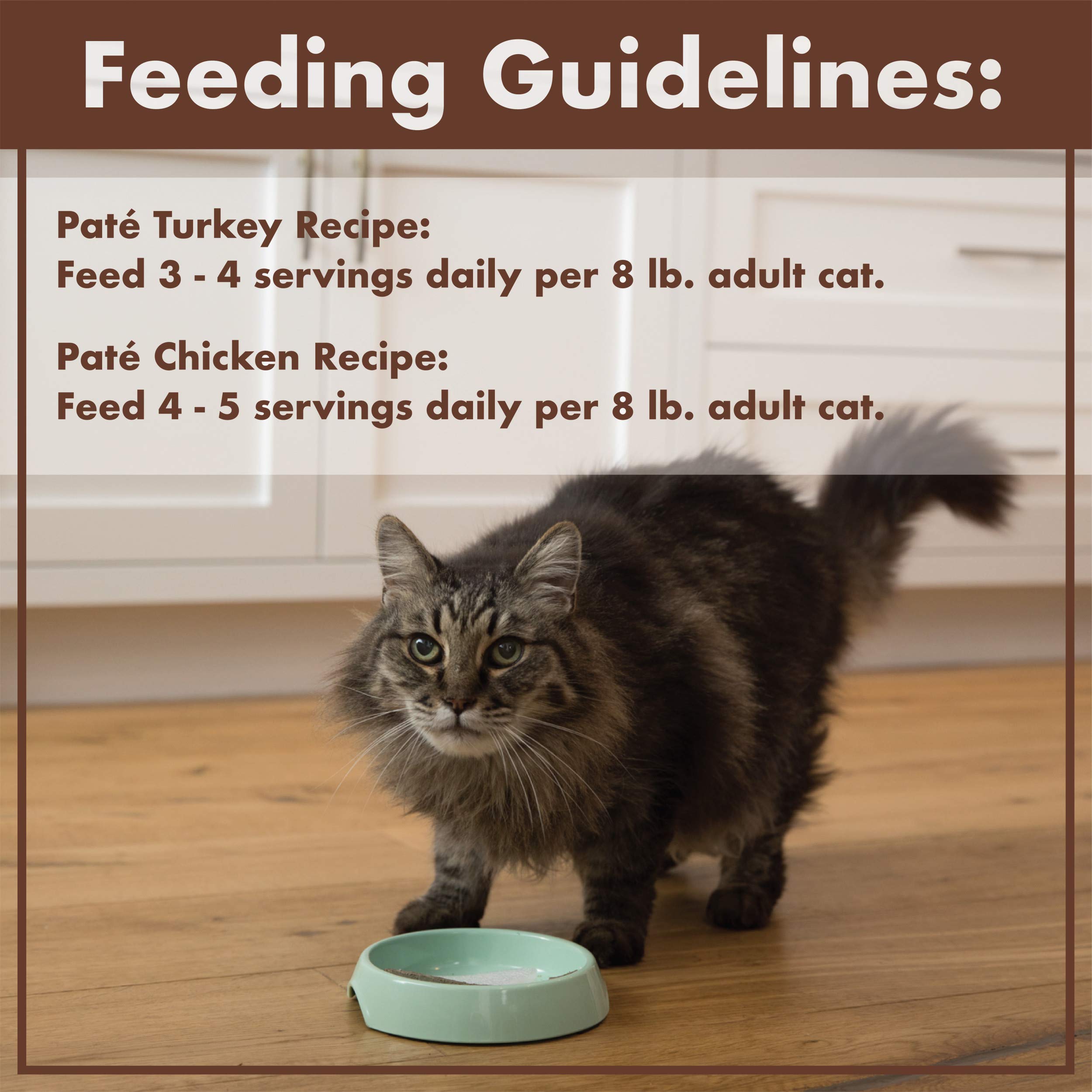 Nutro Wet Cat Food Pat   Multipack: Turkey Recipe and Chicken Recipe, 2.64 oz. Trays (12 Count, Pack of 2)