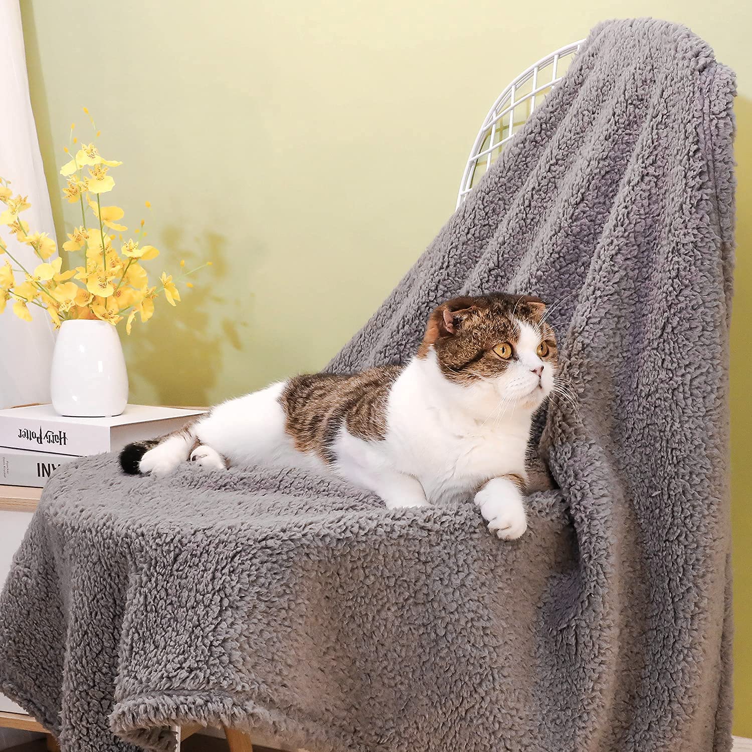 Xinsource 2 Pack Dog Blanket For Medium Size Dogs Cats Soft Sherpa Fleece Pet Blanket Throw For Sofa, Couch Thick Durable Pet Be