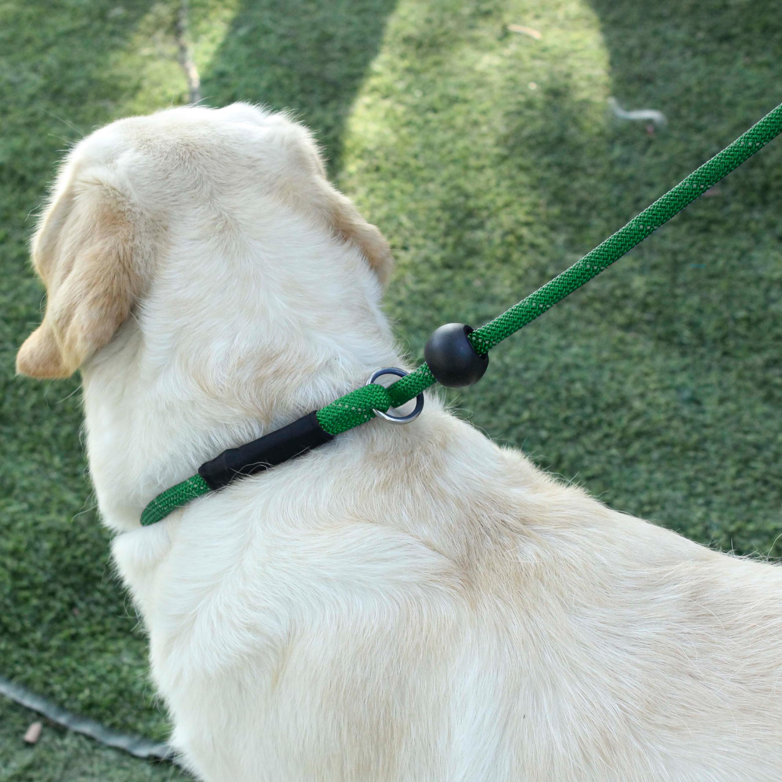 Hiado Slip Lead Dog Leash Reflective With Stopper Loop Rope Training No Pull For Small Medium Large Dogs 4Ft Green