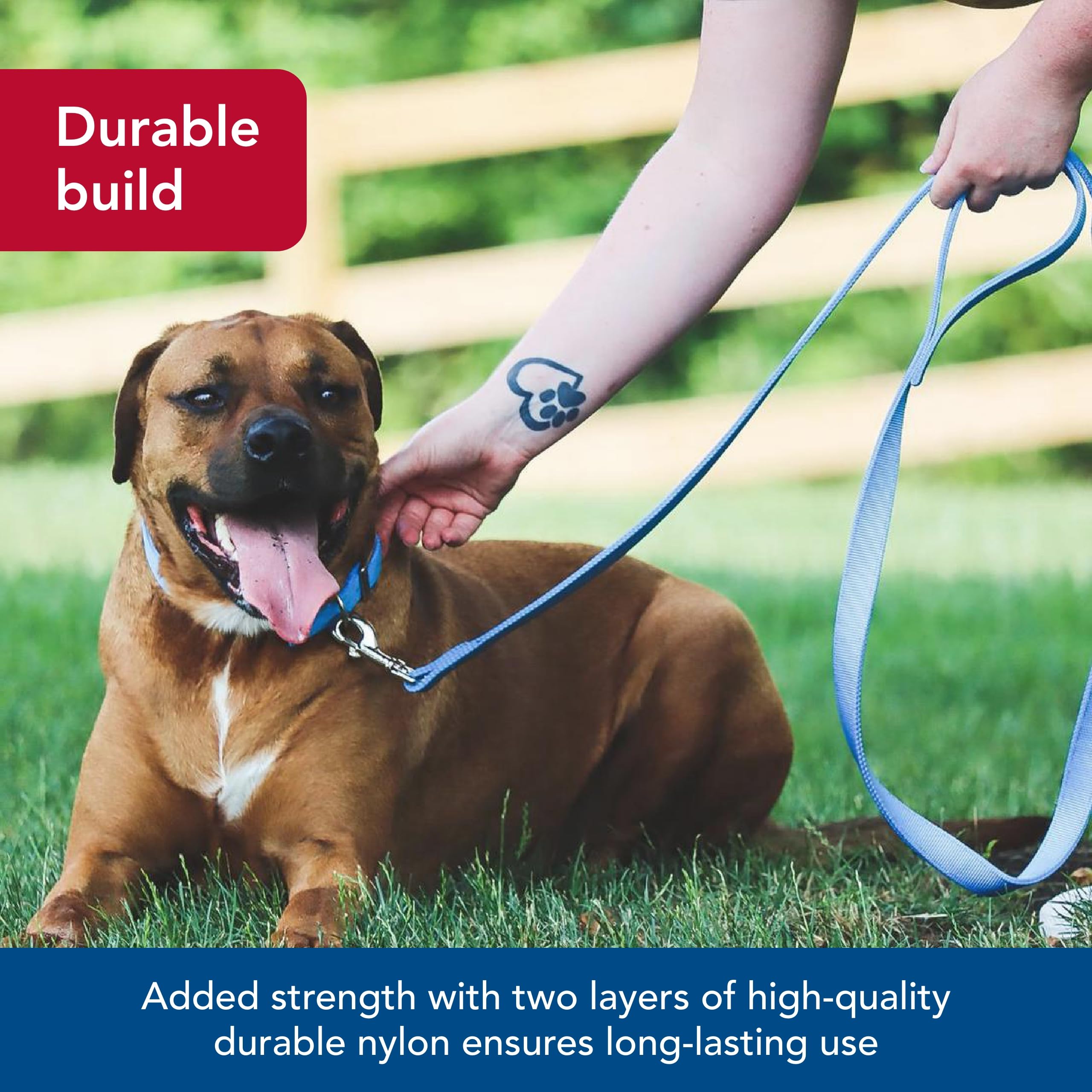 Coastal Pet Double-Ply Dog Leash - Bolt Snap Attachment to Collars and Harnesses - Nylon Dog Walking Leash for Small, Medium and