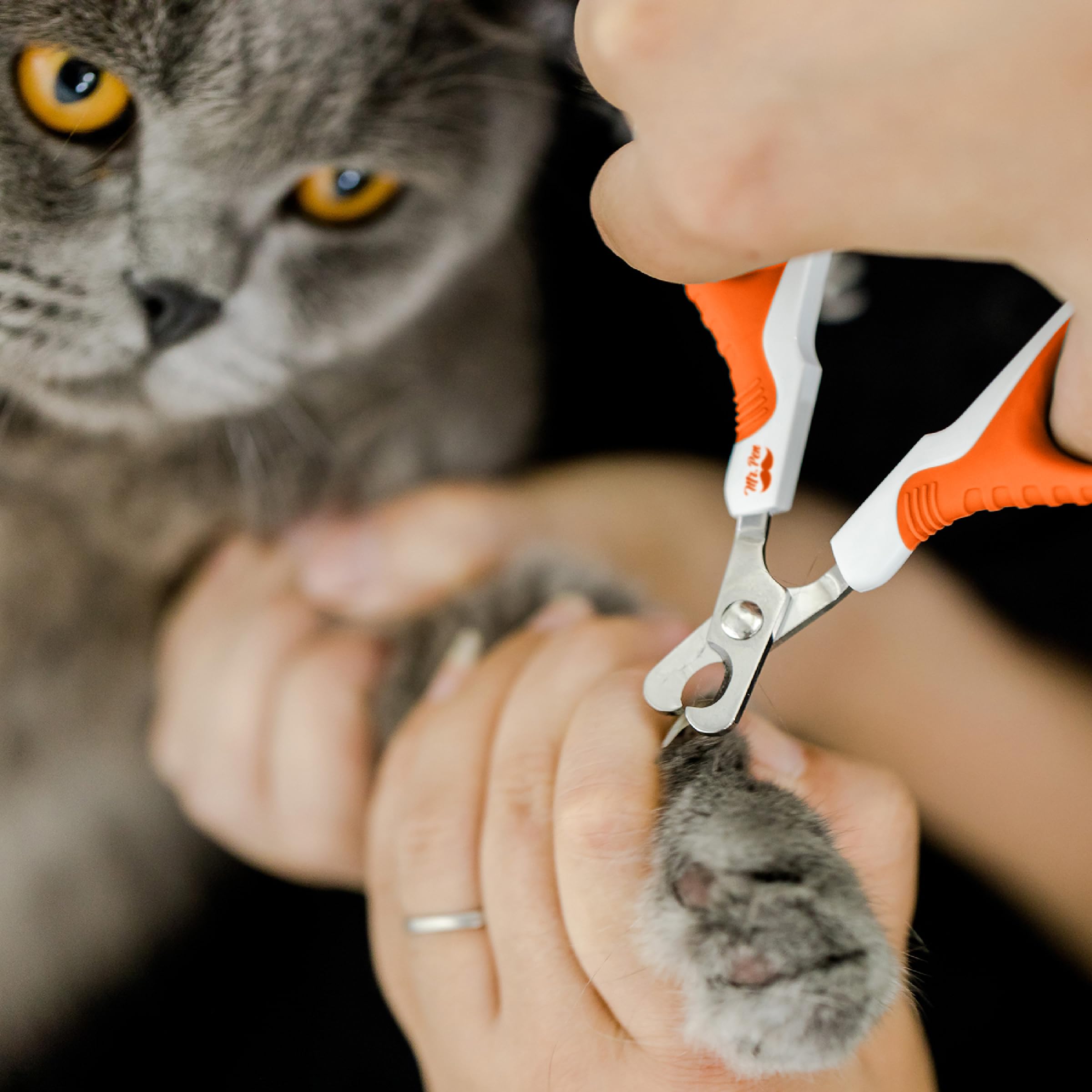 Mr. Pen- Cat Nail Clipper, Raspberry Red & White Cat Nail Trimmer, Cat Nail Clippers, Cat Claw Clippers, Cat Clippers For Nails, Pet Nail Clippers, Small Dog Nail Clipper Cat Claw Trimmer
