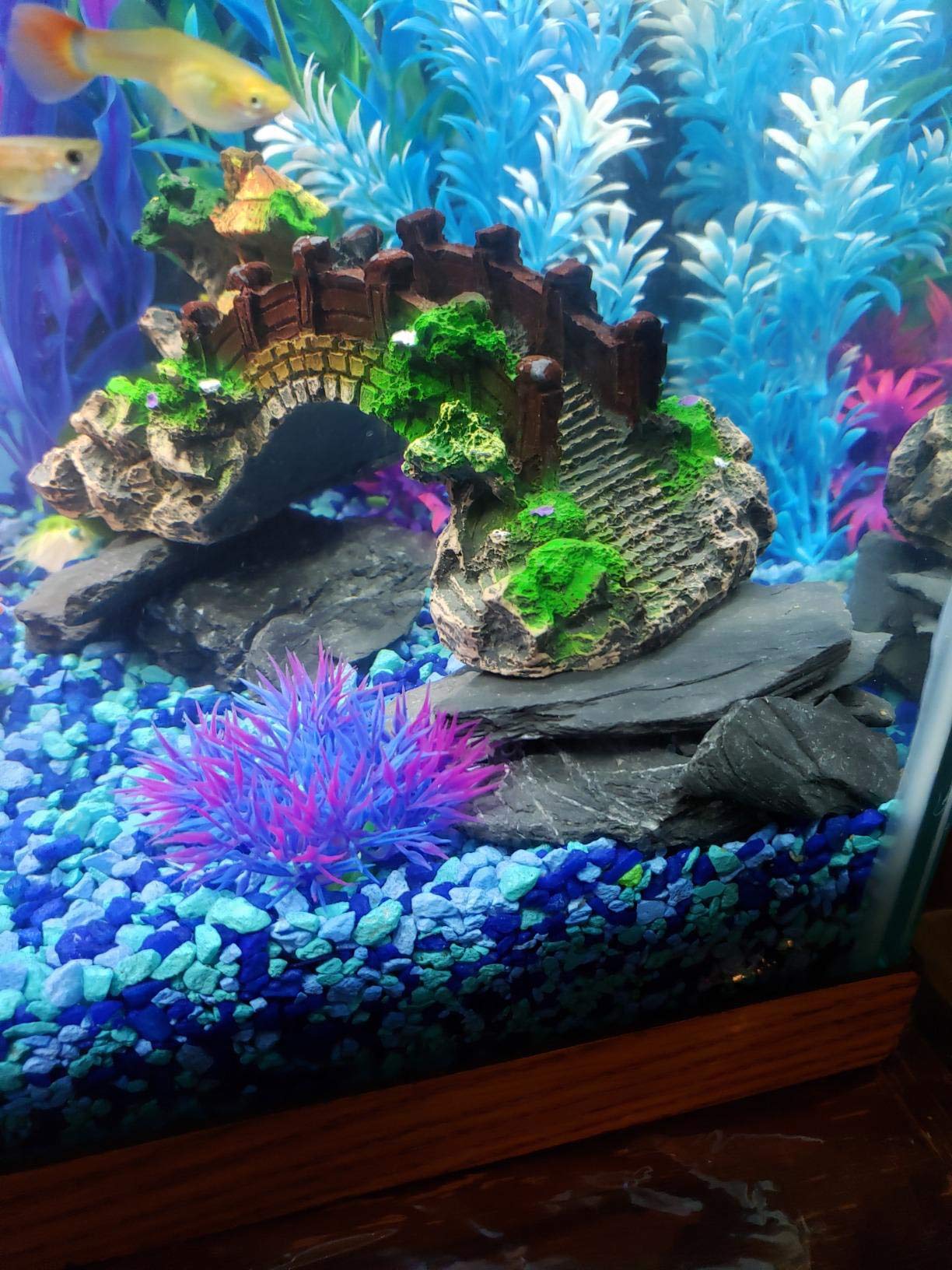 Voulosimi Natural Slate Rocks 5 To 7 Inch Ph Neutral Stone Perfect Rocks For Aquariums, Landscaping Model,Tank Decoration,Amphib