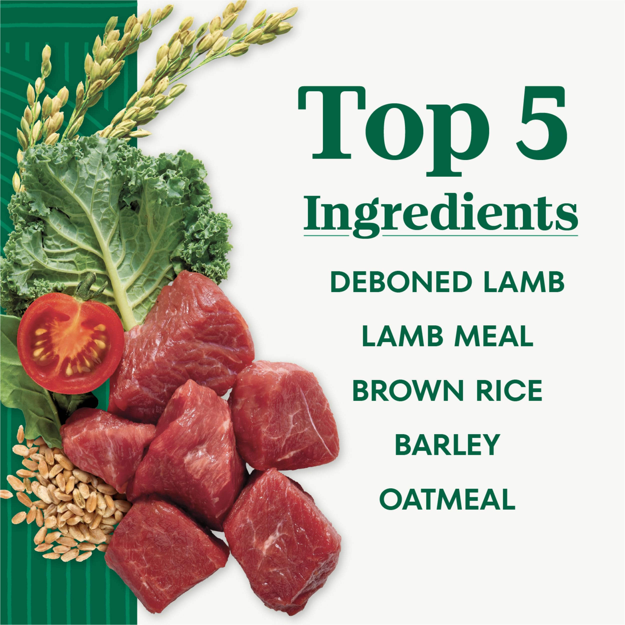 Nutro Natural Choice Puppy Dry Dog Food, Lamb and Brown Rice Recipe, 45 lbs.