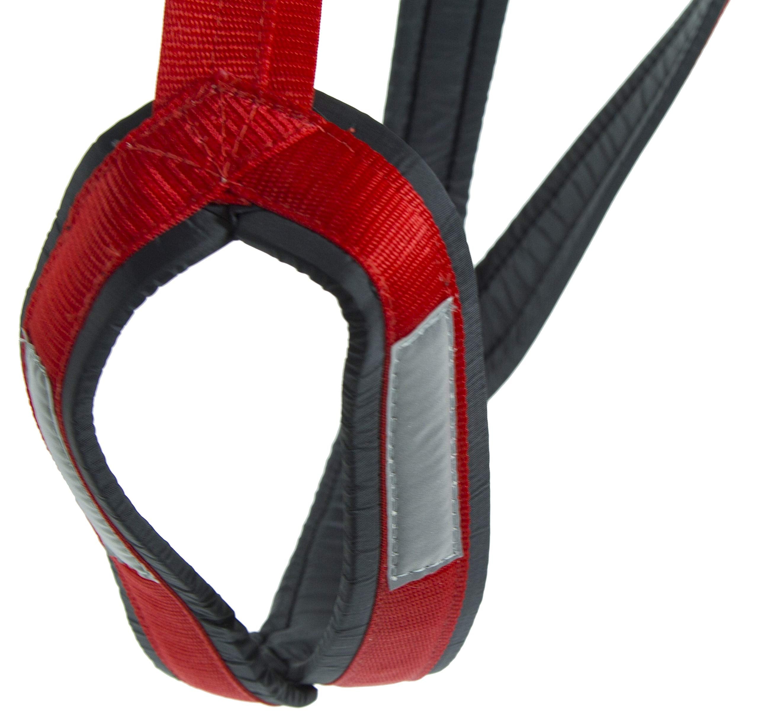 Neewa X-Back Racing Harness - Medium, Blue | High-Performance, Reflective Gear For Slim, Long-Bodied Dogs | Suitable For Canicross, Skijoring | Neck 14In, Chest 28In, Back 23In