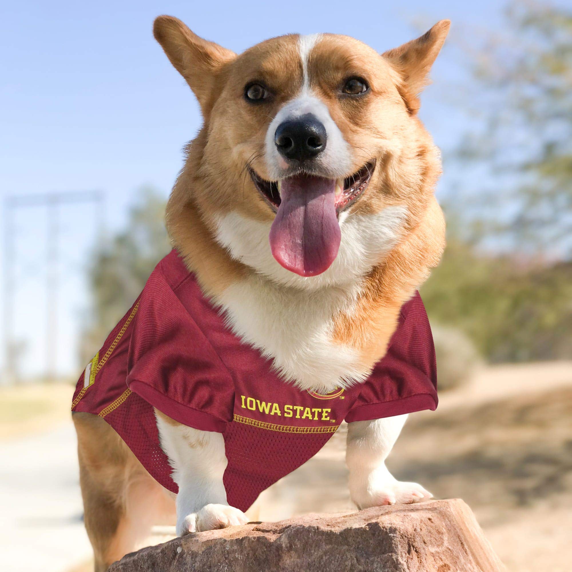 Pets First NCAA College Iowa State Cyclones Mesh Jersey for Dogs & Cats, XX-Large. Licensed Dog Jersey with Your Favorite Footba