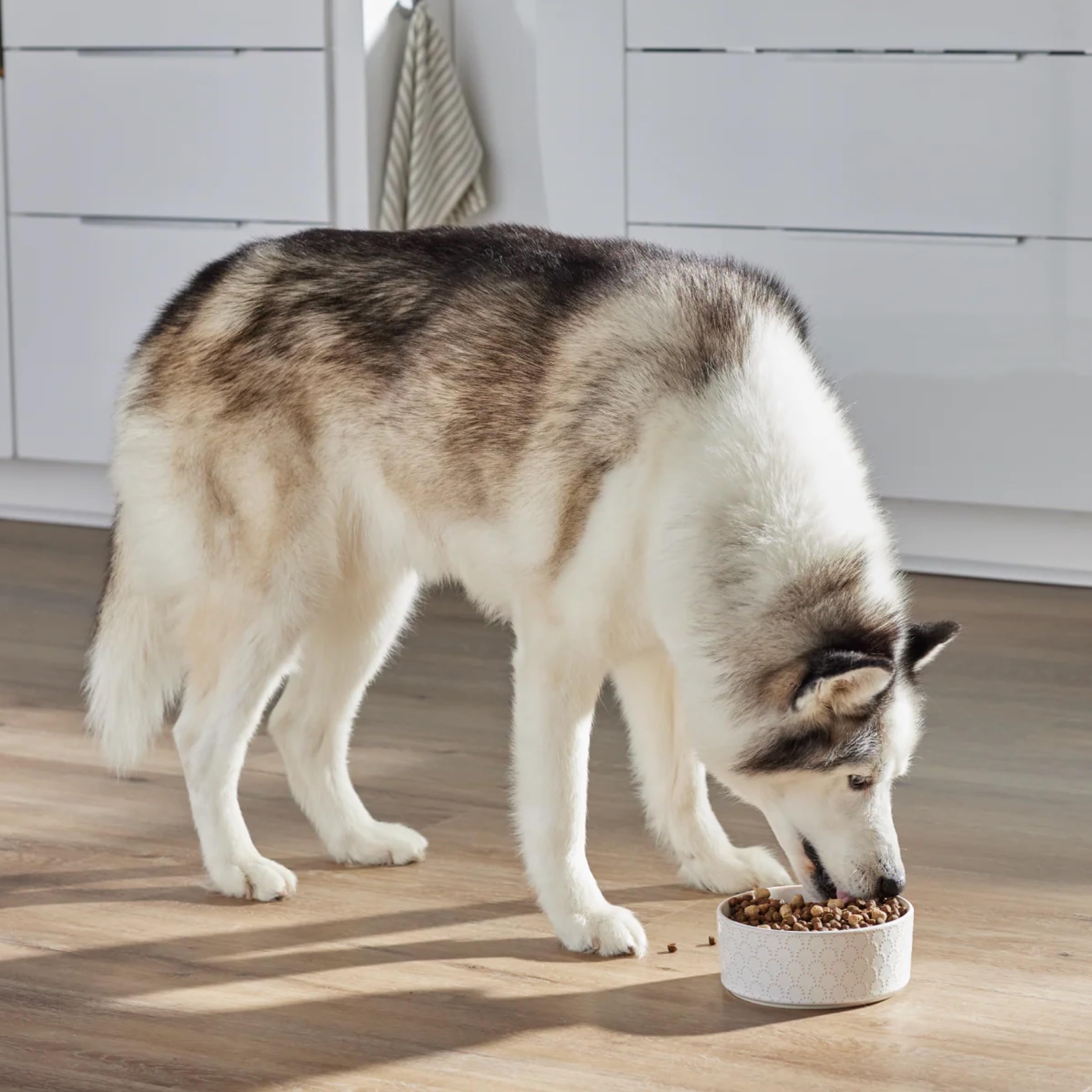 Open Farm, RawMix Grain-Free Dry Dog Food, Protein-Packed Kibble Coated in Bone Broth with Freeze Dried Raw Chunks, Pollock Beef