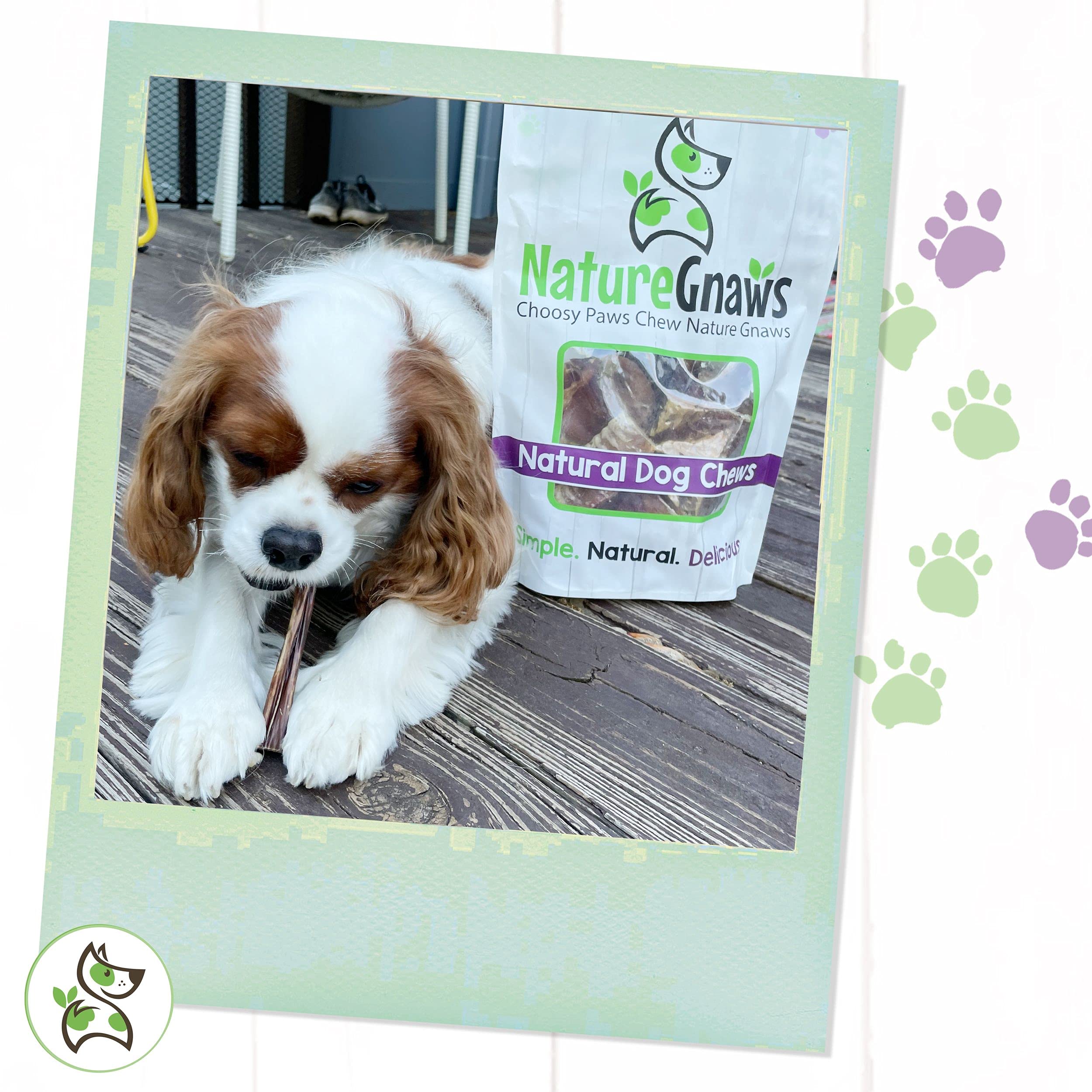 Nature Gnaws Small Bully Sticks for Dogs - Premium Natural Beef Dental Bones - Long Lasting Dog Chew Treats for Small Dogs & Pup