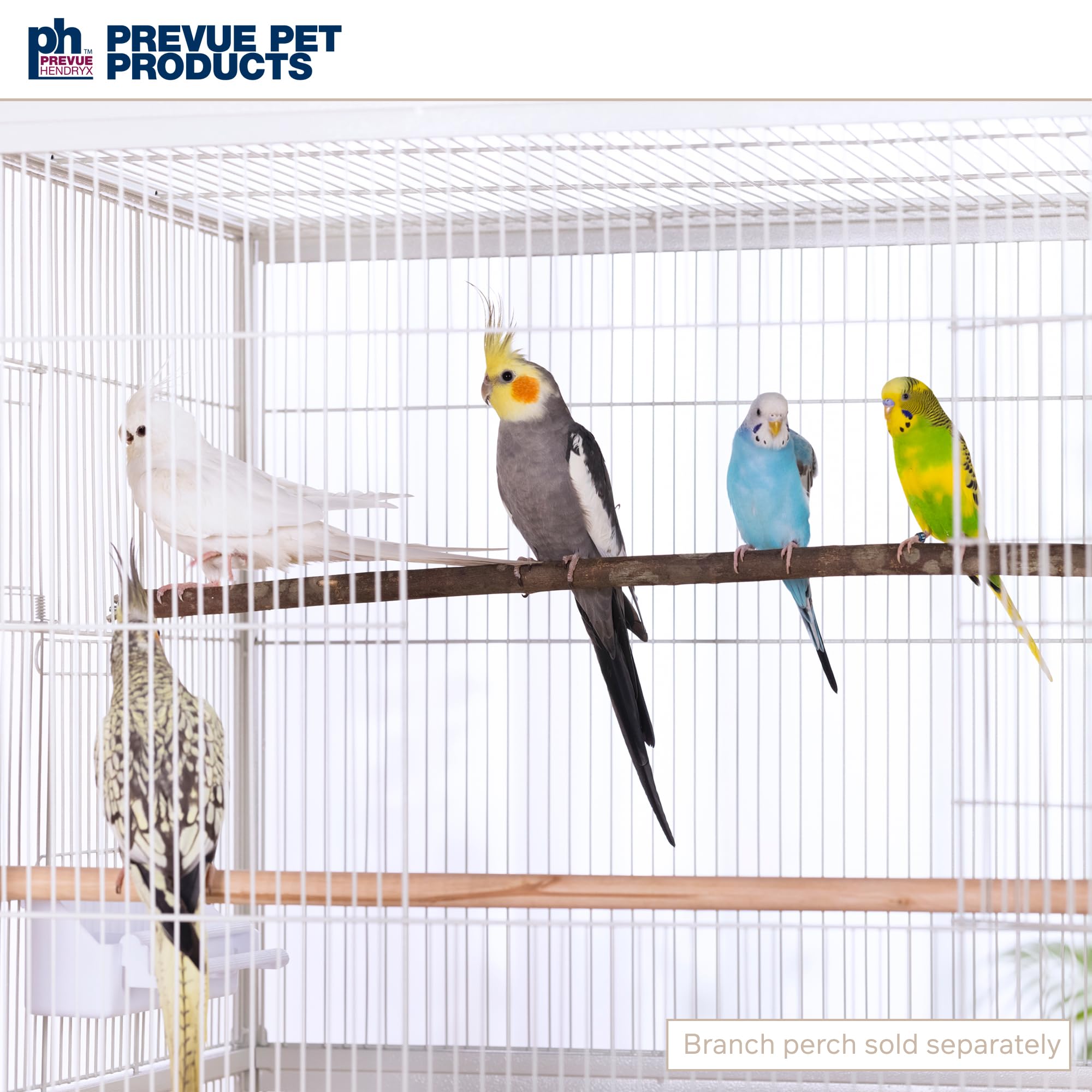 Prevue Pet Products Large Wrought Iron Flight Cage - 31"x20.5"x53", White, Non-Toxic Steel with Stand, Model F041
