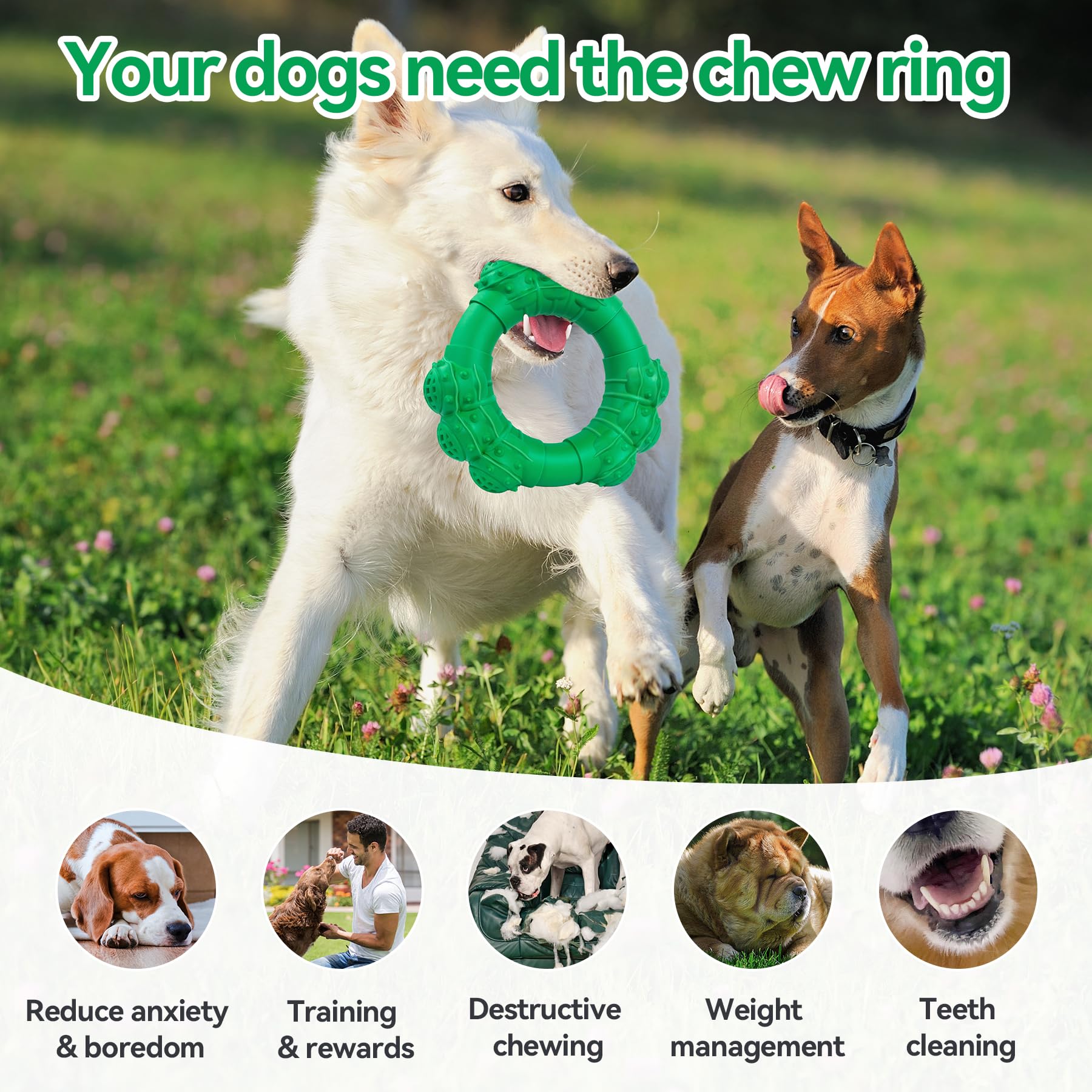 DAOZIJI Indestructible Dog Chew Toys for Aggressive Chewers, Super Dog Chewer Toys for Medium Large Dogs, Interactive Dogs Ring