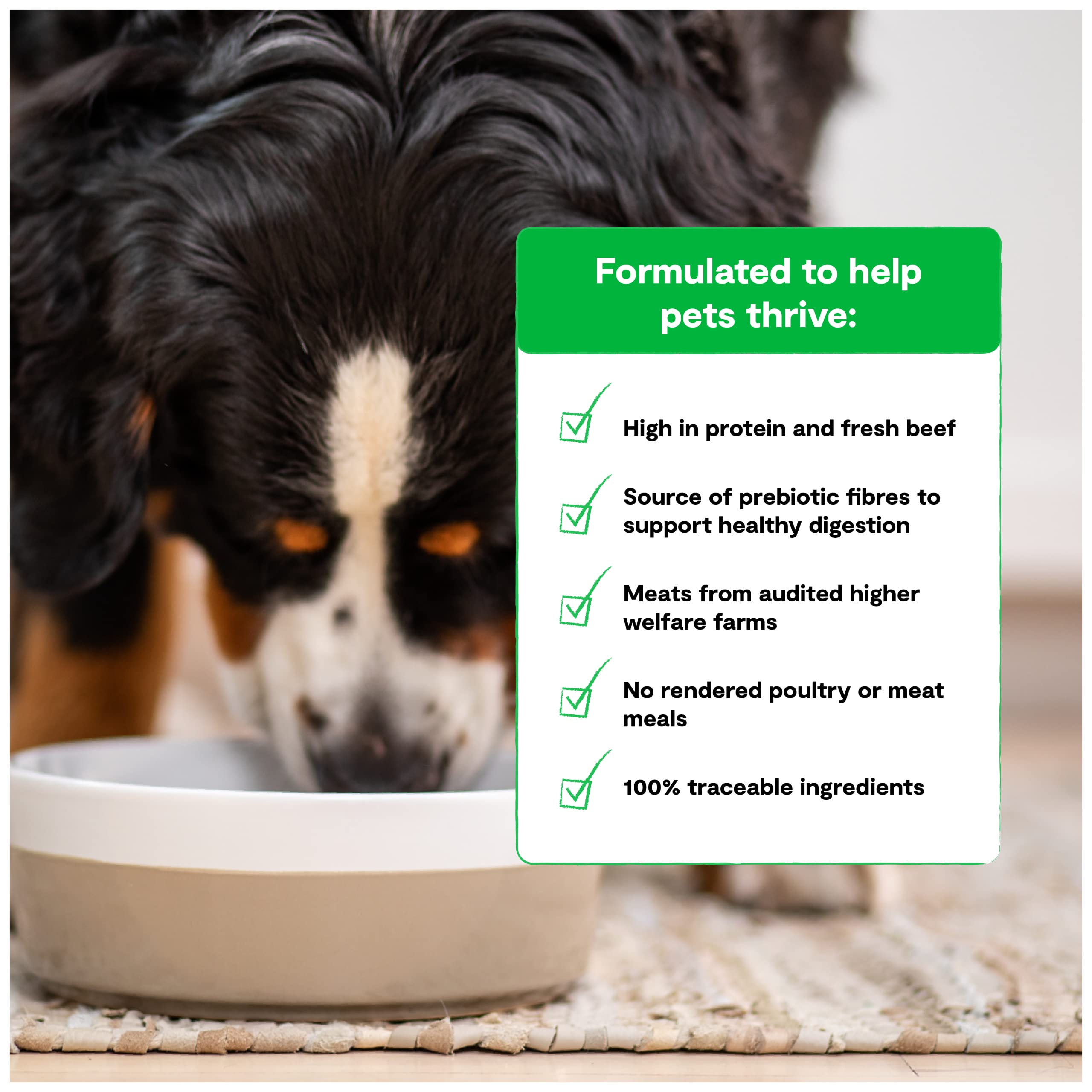 Open Farm Grain-Free Dry Dog Food with Ethically Sourced Ingredients, Non-GMO Veggies & Superfoods to Support Overall Health, Gr