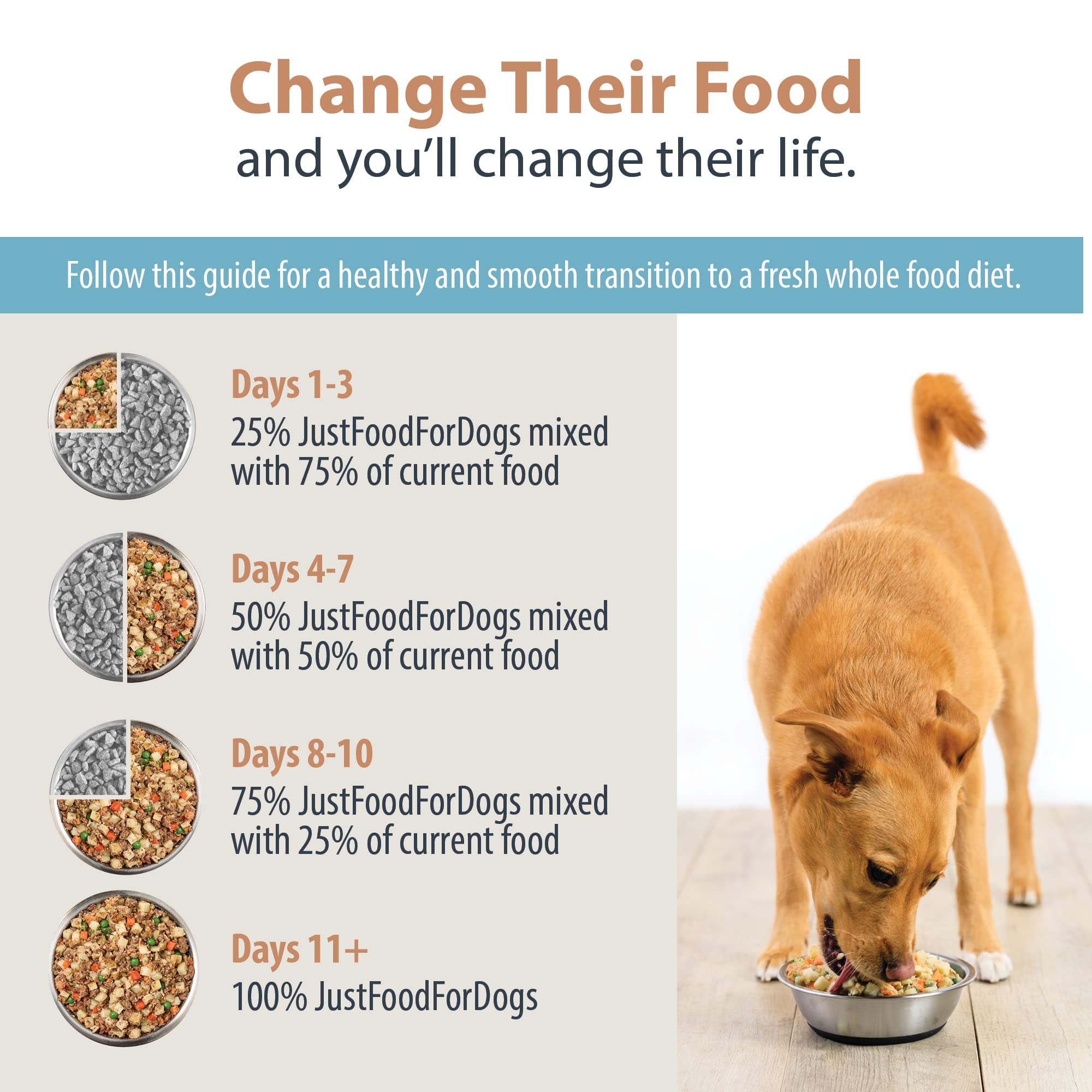 JustFoodForDogs Pantry Fresh Wet Dog Food, Complete Meal or Dog Food Topper, Beef & Russet Potato Human Grade Dog Food Recipe -