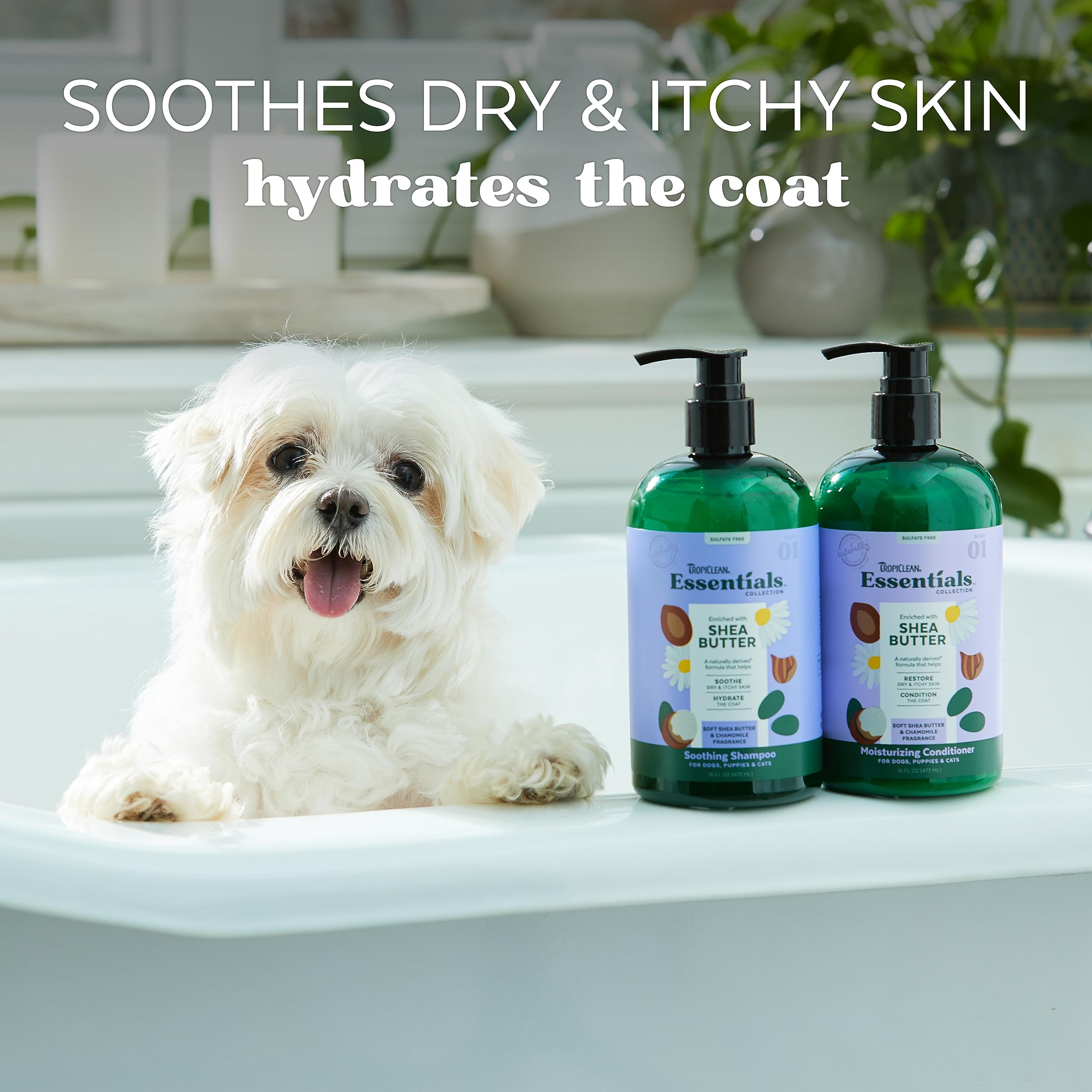 Tropiclean Essentials Shea Butter Shampoo For Dogs | Puppies & Cats | Soothe Dry & Itchy Skin | Hydrate The Coat | Derived From