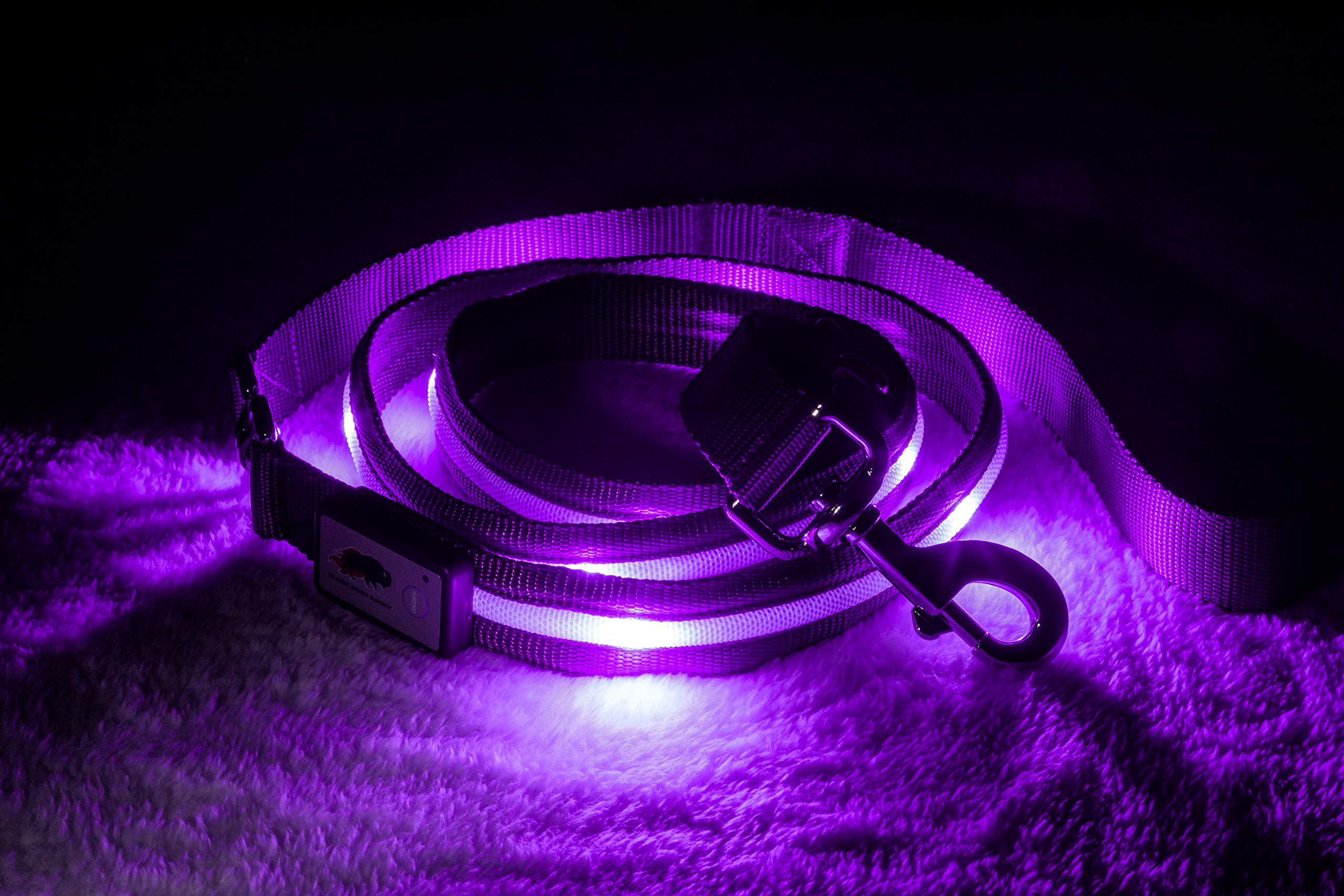 Blazin' Safety Led Dog Leash - Usb Rechargeable Flashing Light, 6 Ft, Water Resistant  Avoid Danger  Purple