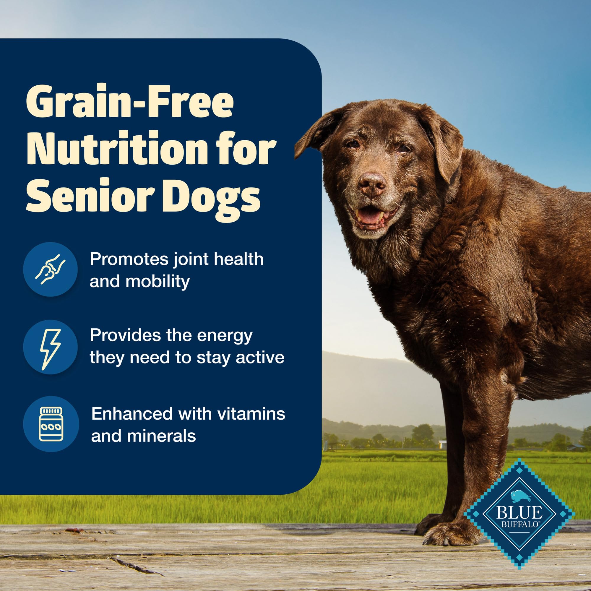 Blue Buffalo Freedom Grain-Free Senior Dry Dog Food, Provides Energy To Stay Active, Made in the USA with Natural Ingredients, C