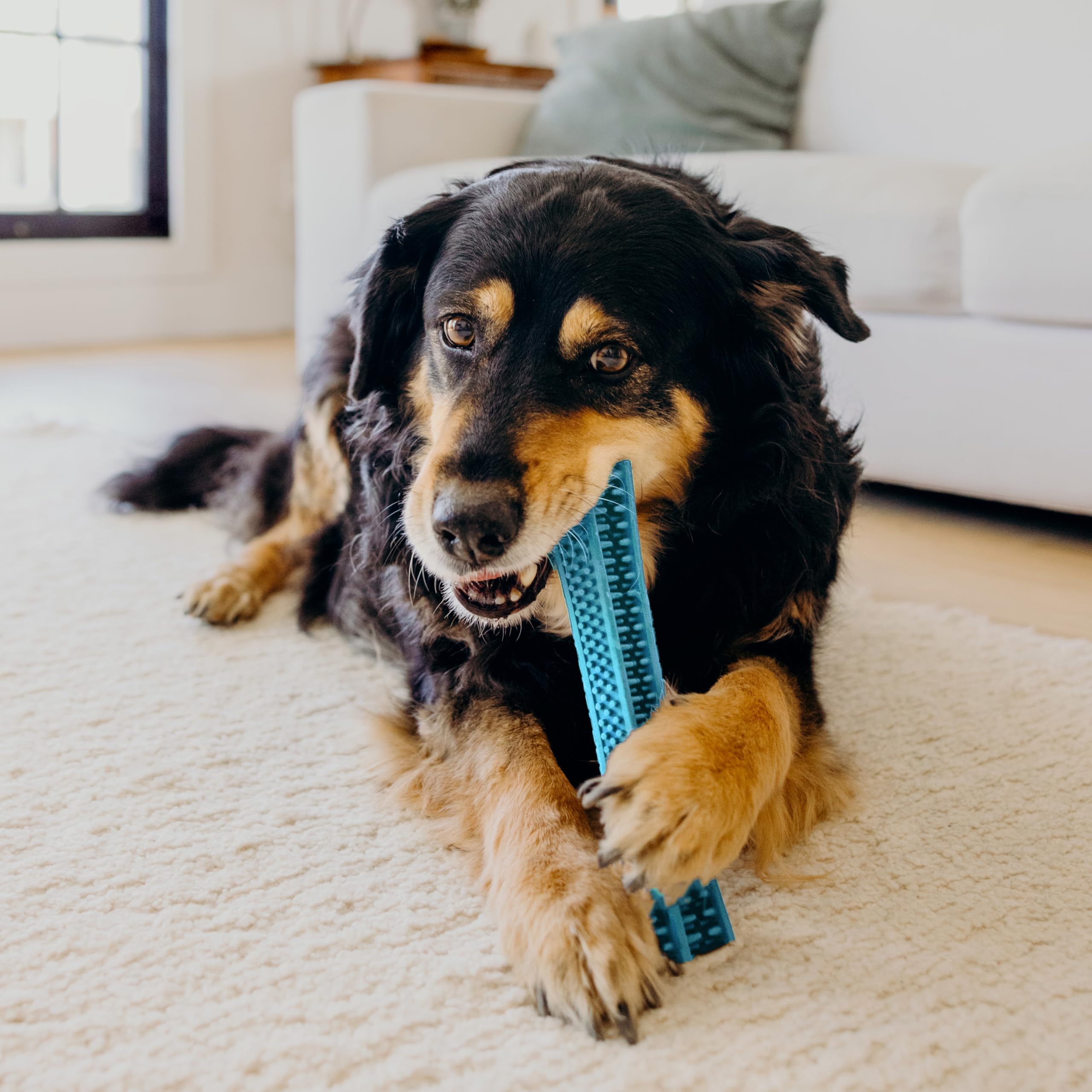 Playology Silver Dental Chew Stick For Large To X-Large Senior Dogs 50Lbs & Up | Engaging All-Natural Peanut Butter Scented Dog