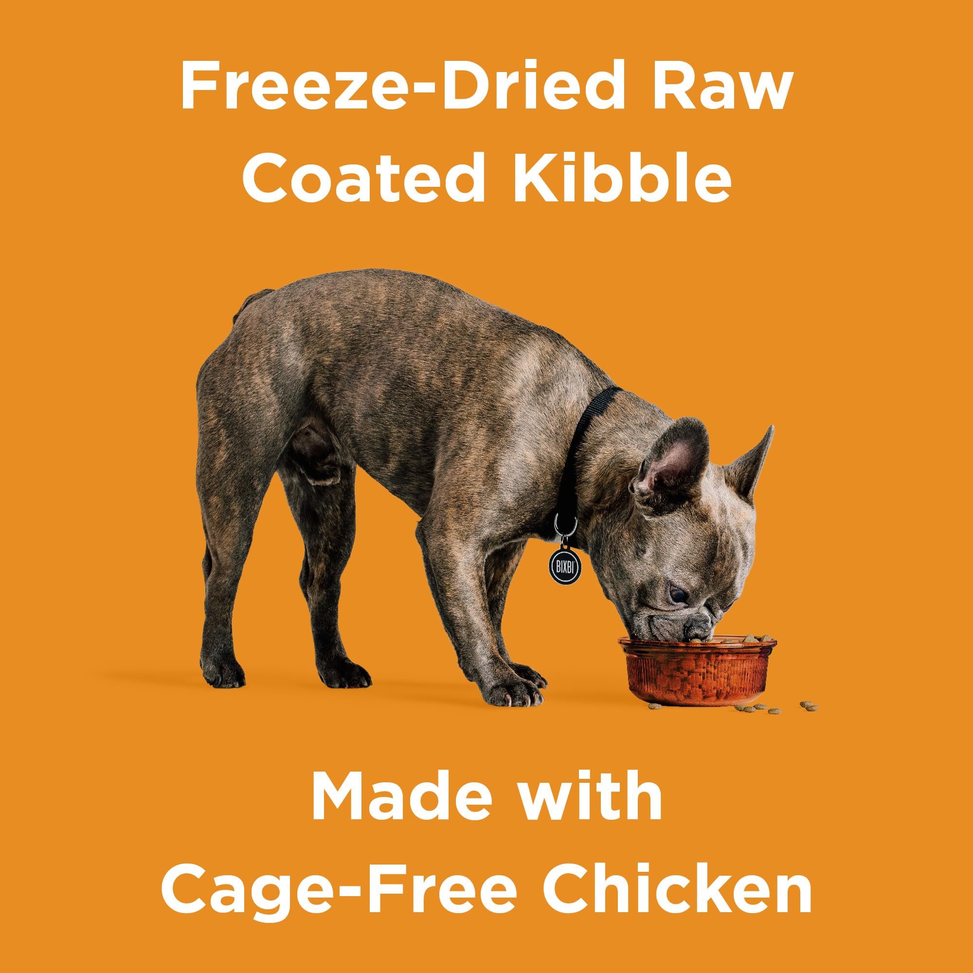 BIXBI Rawbble Dry Dog Food, Chicken, 24 lbs - USA Made with Fresh Meat - No Meat Meal & No Corn, Soy or Wheat - Freeze Dried Raw