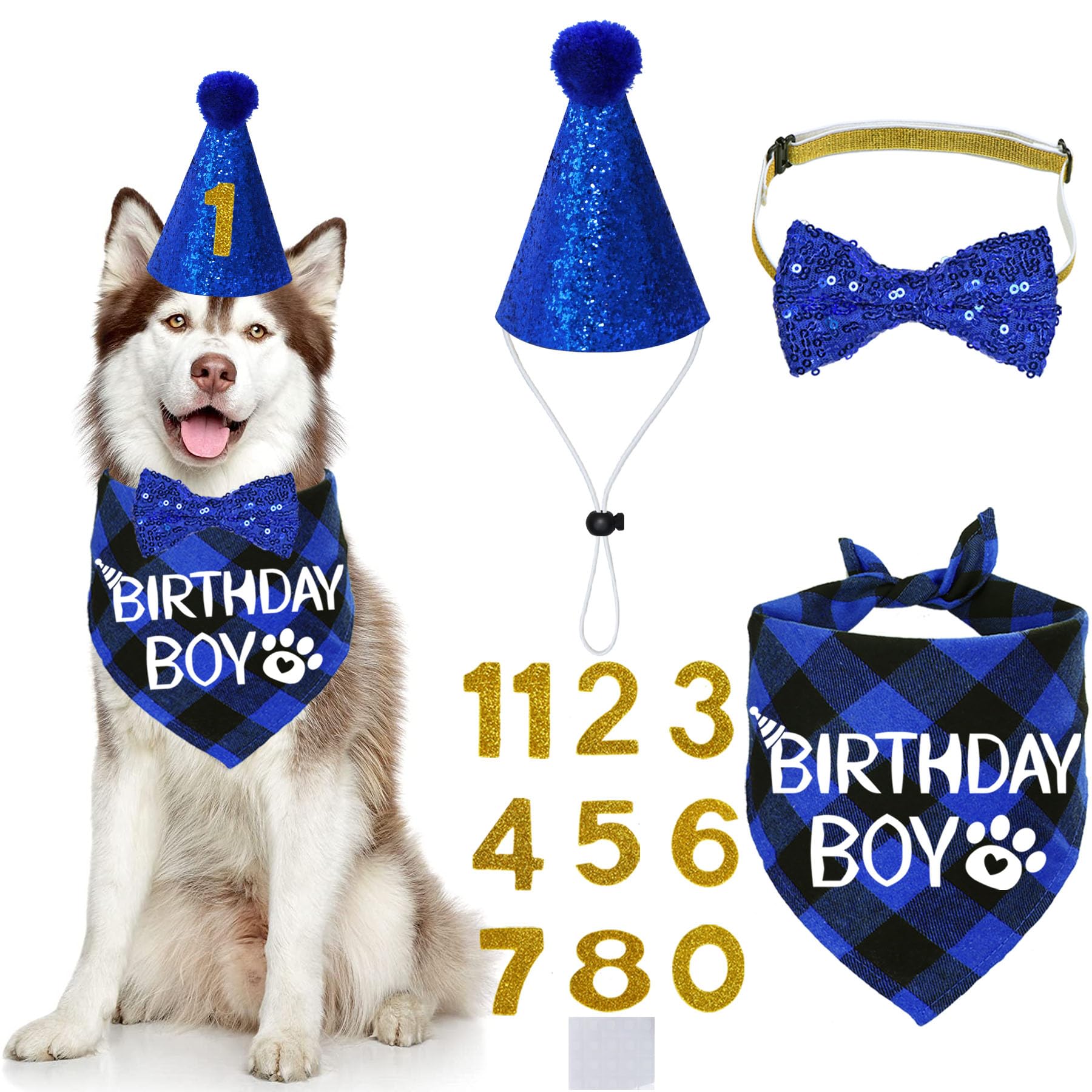 Stmk Dog Birthday Party Supplies, X-Large, Blue - Includes Hat, Bandana, Bow Tie, Numbers & Glue Points