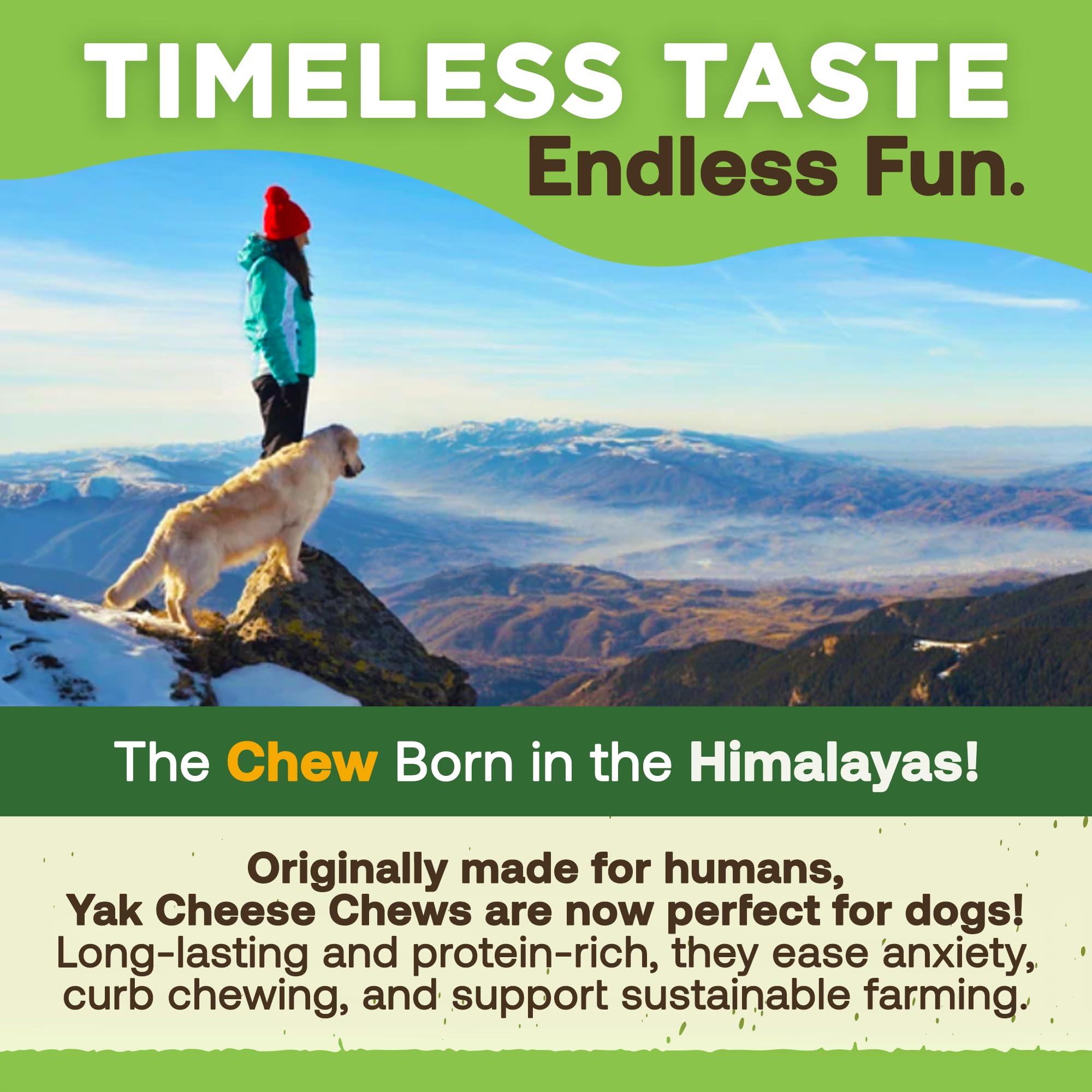 EcoKind Premium Gold Yak Cheese Himalayan Dog Chews, Healthy Dog Treats, Yak Chews for Small Dogs, All Natural, Long Lasting Dog