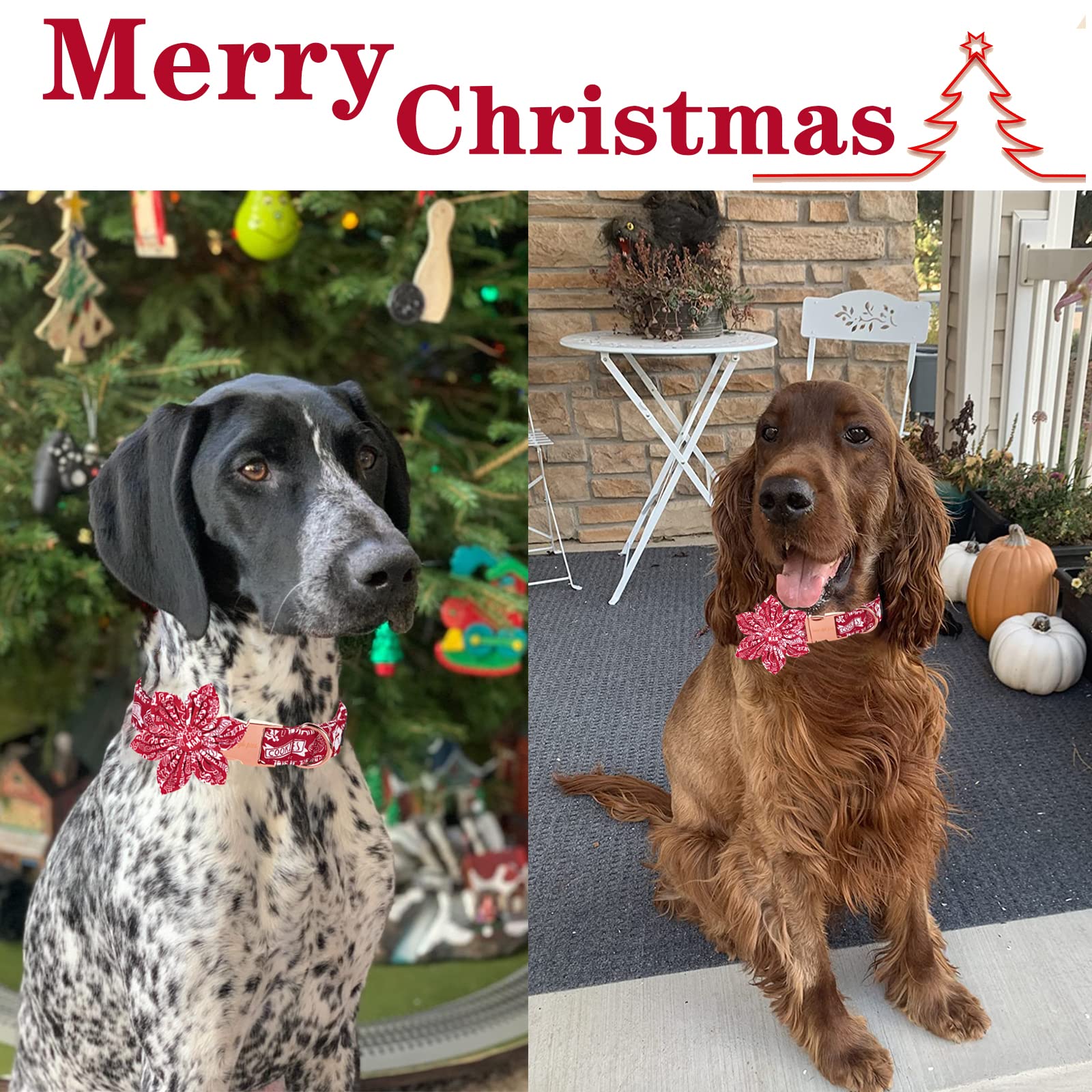 Unique Style Paws Christmas Dog Collar With Flower Tie Winter Gingerbread Snowman Theme Puppy Collar For Small Medium Large Dogs-L