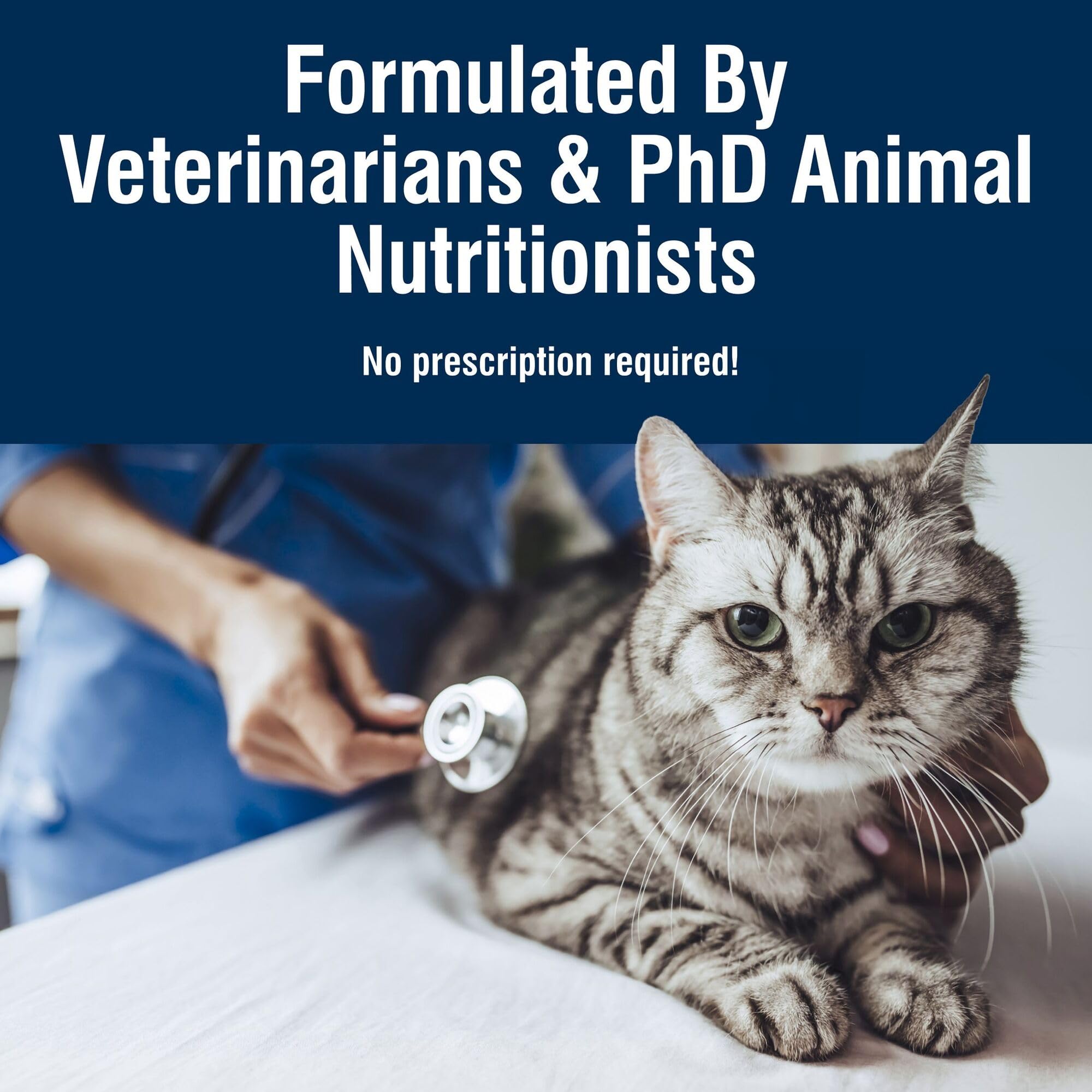 Blue Buffalo True Solutions Digestive Care Wet Cat Food for Adult Cats, Made with Natural Ingredients, Chicken, 3-oz. Cans (24 C