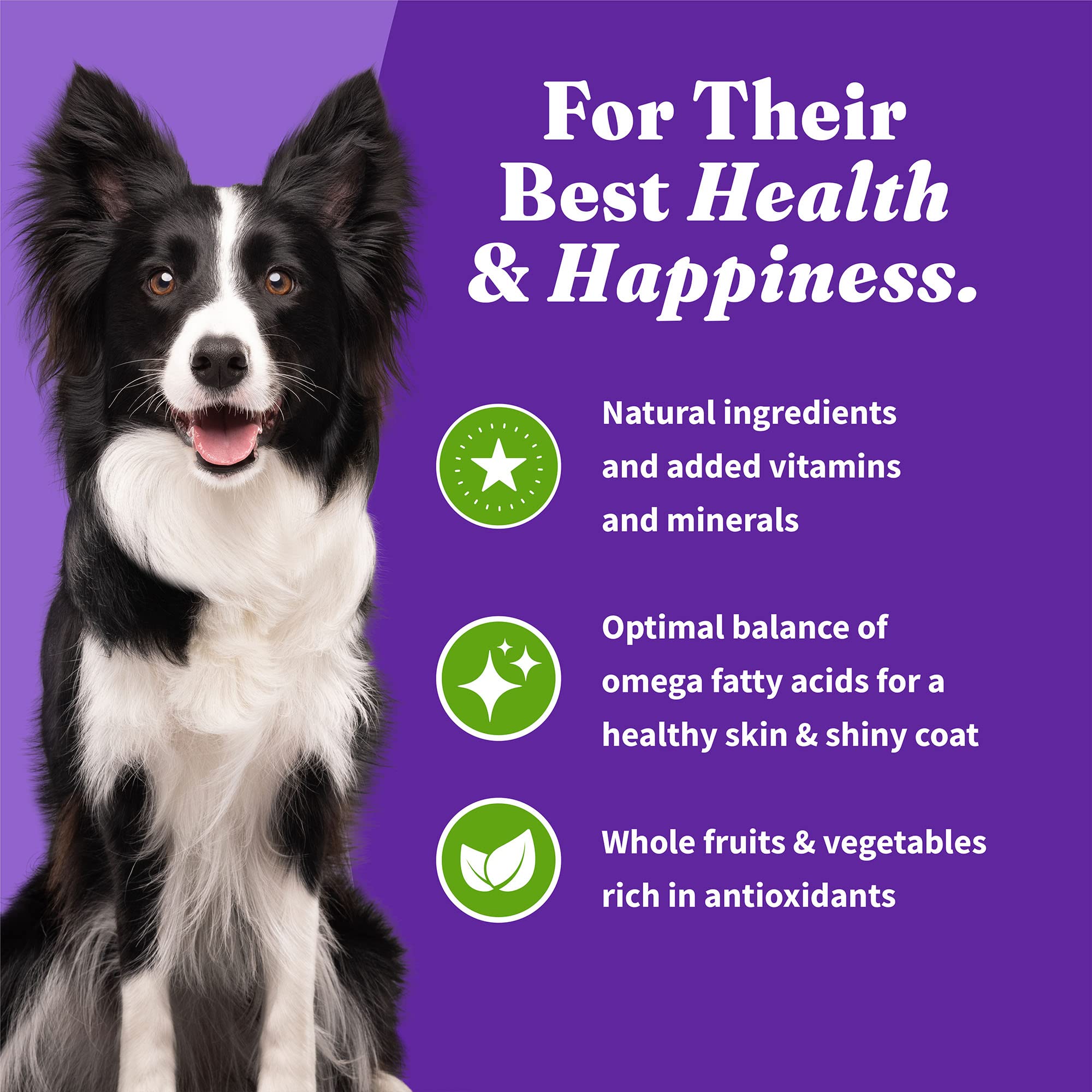 Halo Holistic Adult Dog Vegan Plant-Based Recipe with Superfoods 3.5 lb Bag