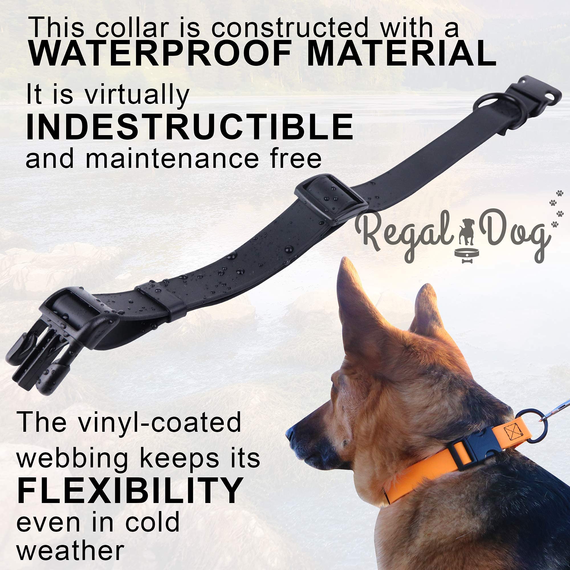 Regal Dog Products Custom Fit Small Teal Waterproof Collar With High Strength Buckle And Heavy Duty Ring – Adjustable -Proof, Waterproof Training Collar For Small Dogs Or Puppy