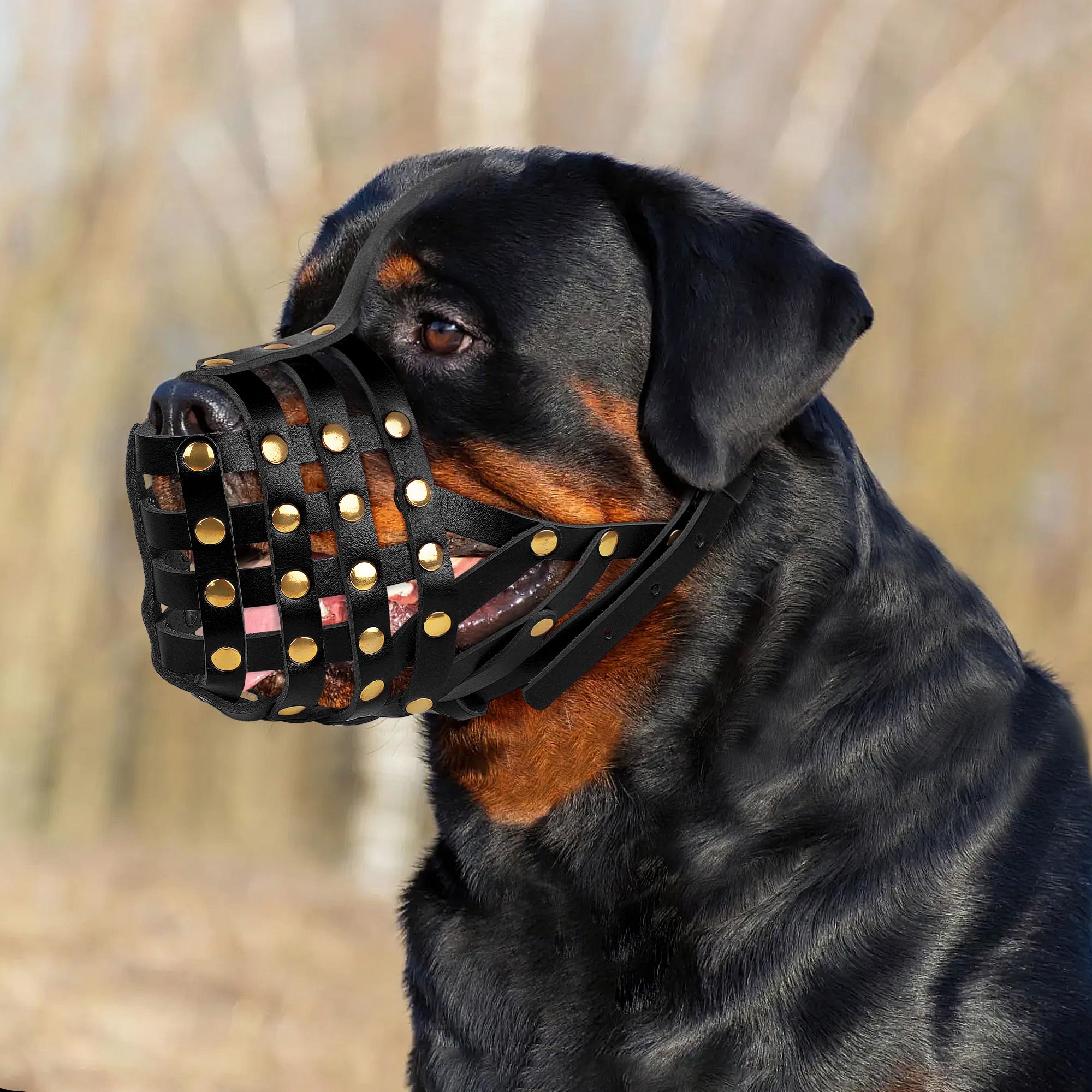 OOPSDOGGY Rottweiler Dog Muzzle - Leather, Breathable, Adjustable, Size 5, Black