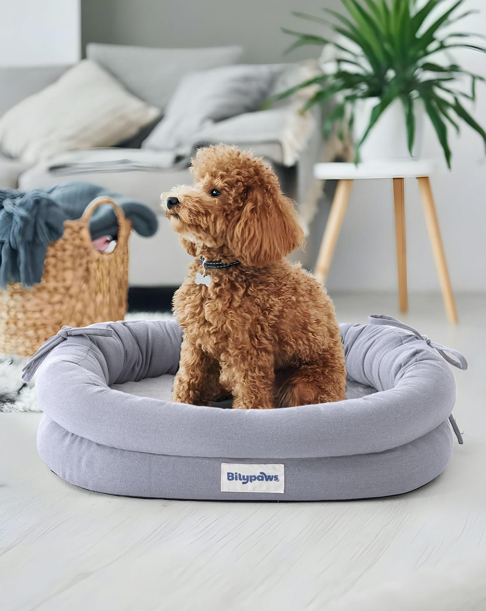 Bilypaws Orthopedic Dog Bed For Small Dogs, Chew-Resistant Pet Sofa Bed With Egg Crate Foam, 4-Sided Bolster, Removable Washable