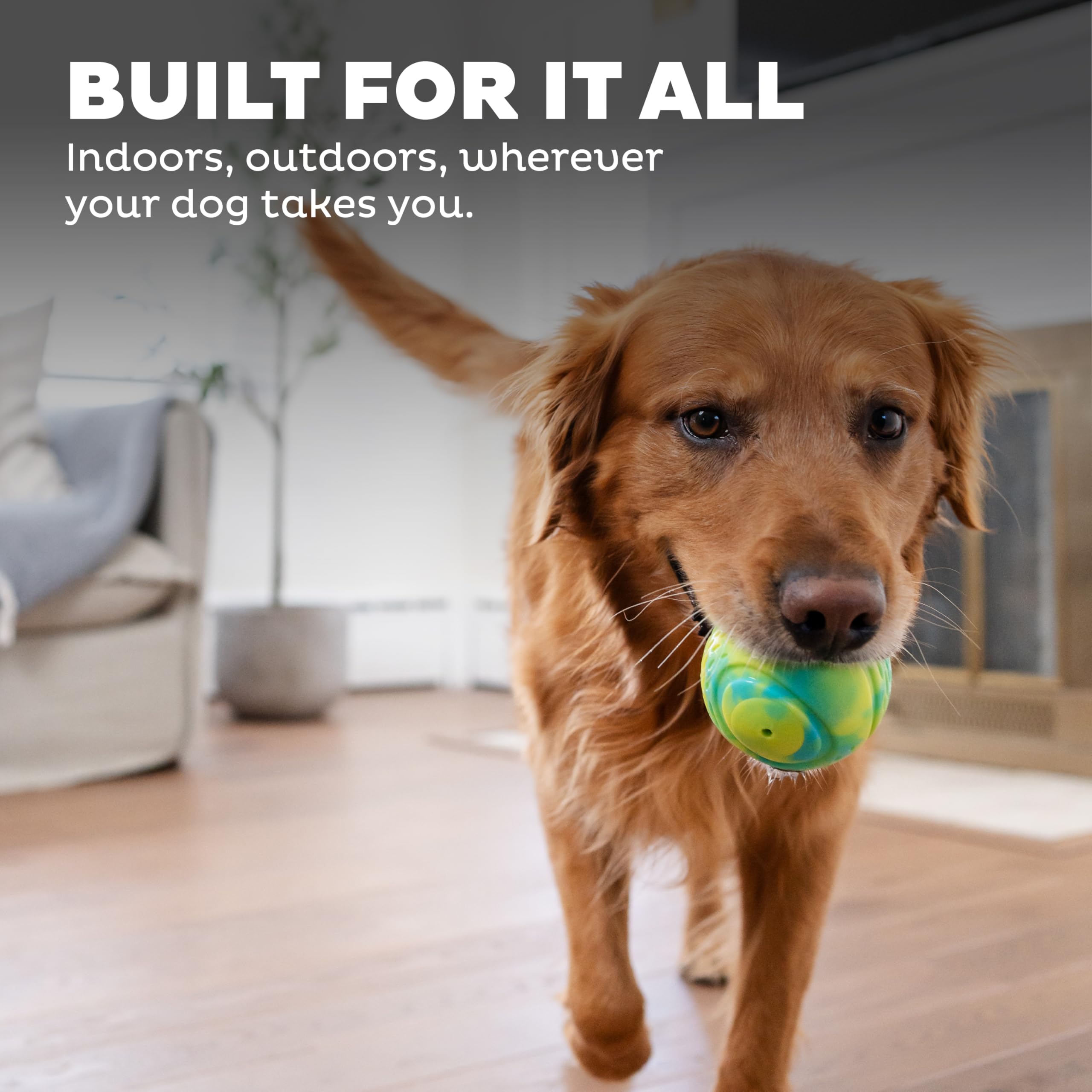 Outward Hound Grunt N Punt Tennis Ball - Fetch Ball Dog Toy, Multi
