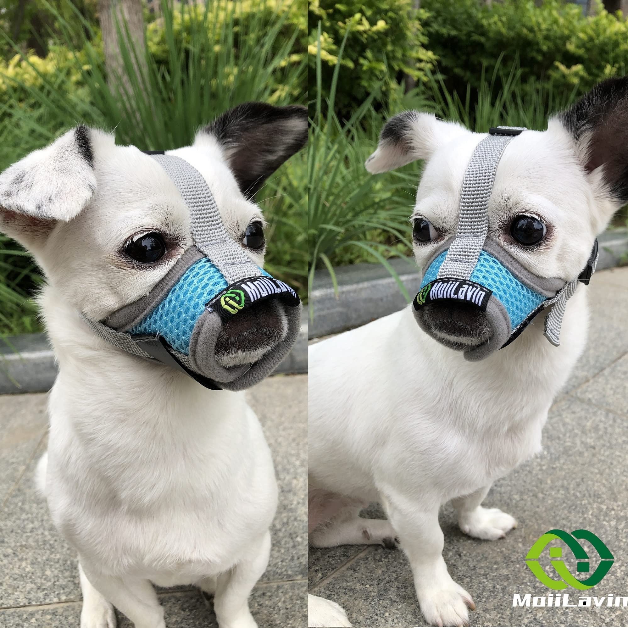 MoiiLavin Dog Muzzle, Breathable Mesh Muzzles for Small Dogs 5-15bls, Chihuahua Muzzle for Biting Barking, Adjustable Puppy Muzz