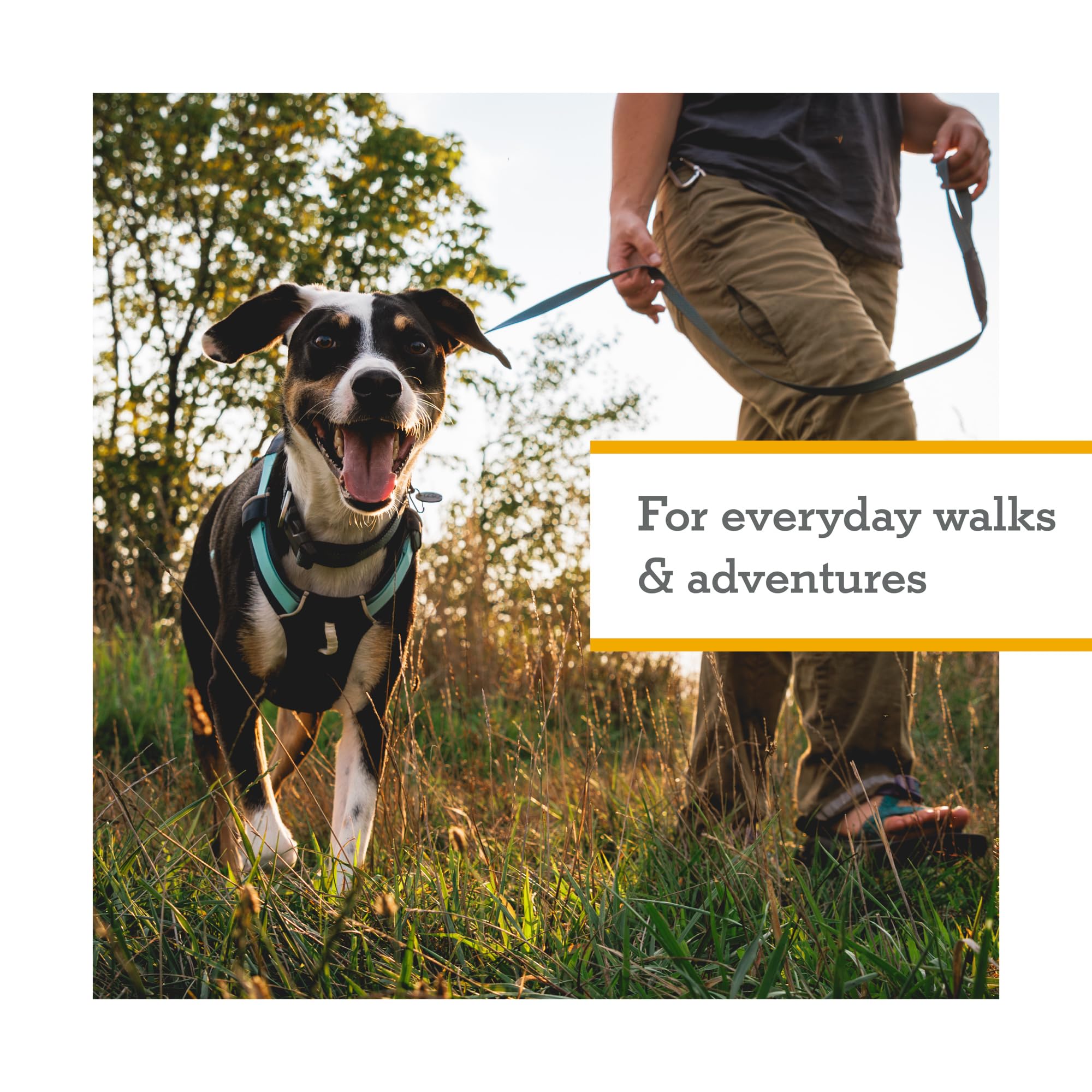 Ruffwear, Hi & Light, Everyday Lightweight Dog Harness, Trail Running, Walking, Hiking, All-Day Wear, Basalt Gray, Large/X-Large