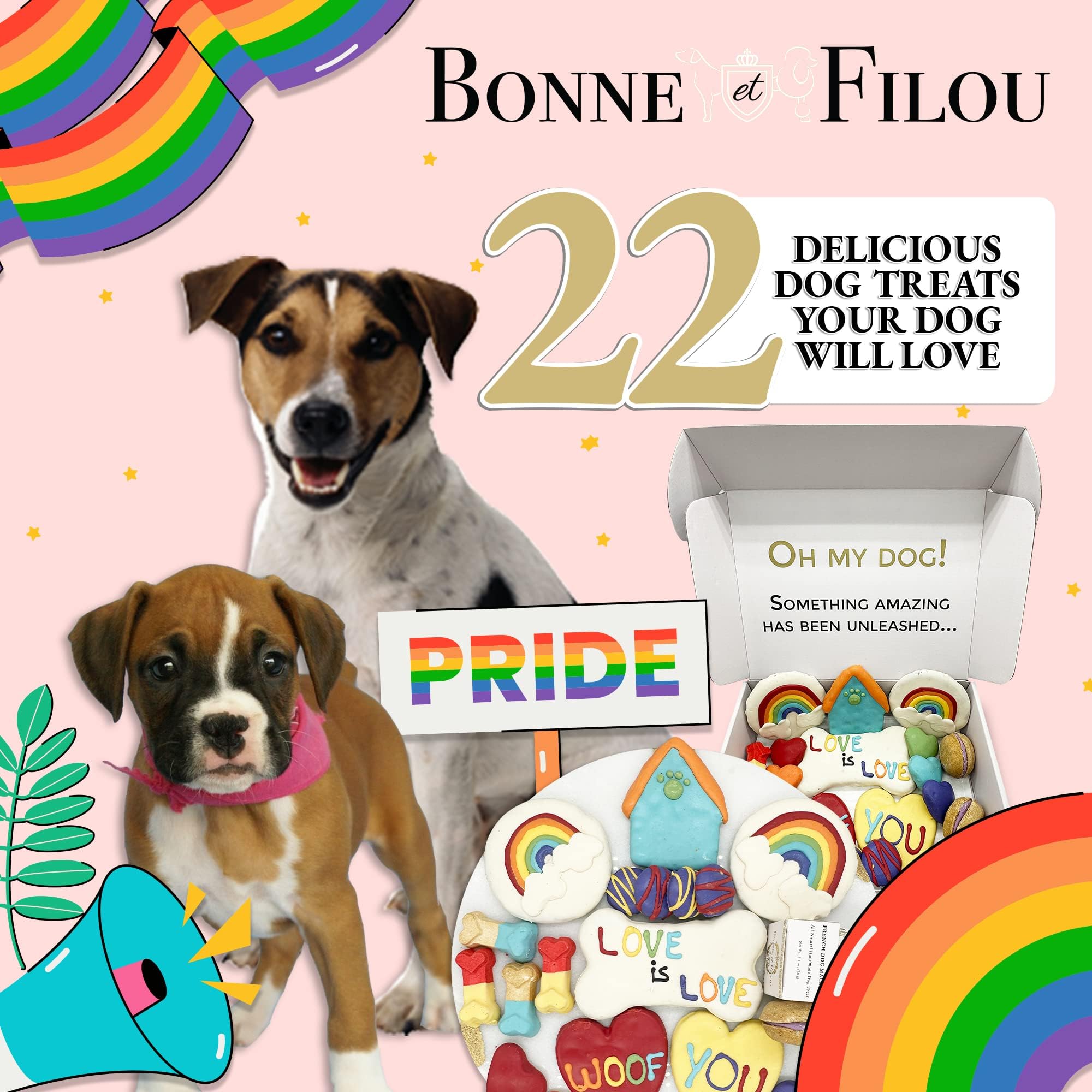 Bonne et Filou Pride Themed Human Grade Gourmet Dog Treats Gift Box 22 Luxury Snacks with Macarons, Truffles & Bone Cookies Heal