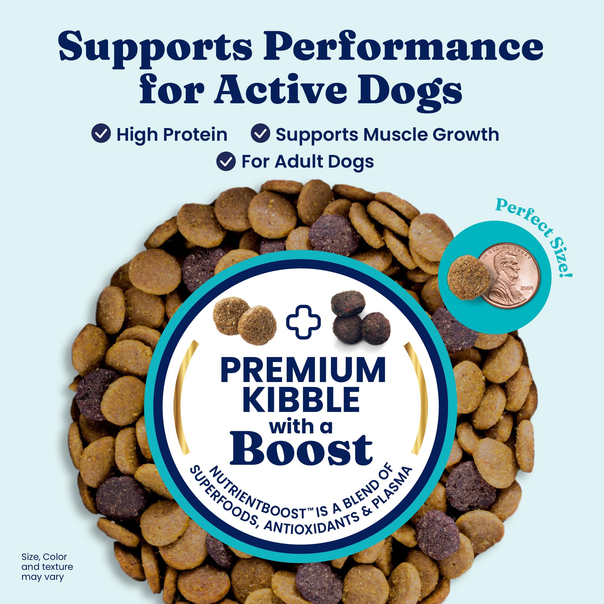 Solid Gold High Protein Dog Food Dry Dog Kibble - Premium Beef Protein & Digestive Probiotics for Energy, Muscle, Gut & Immune S