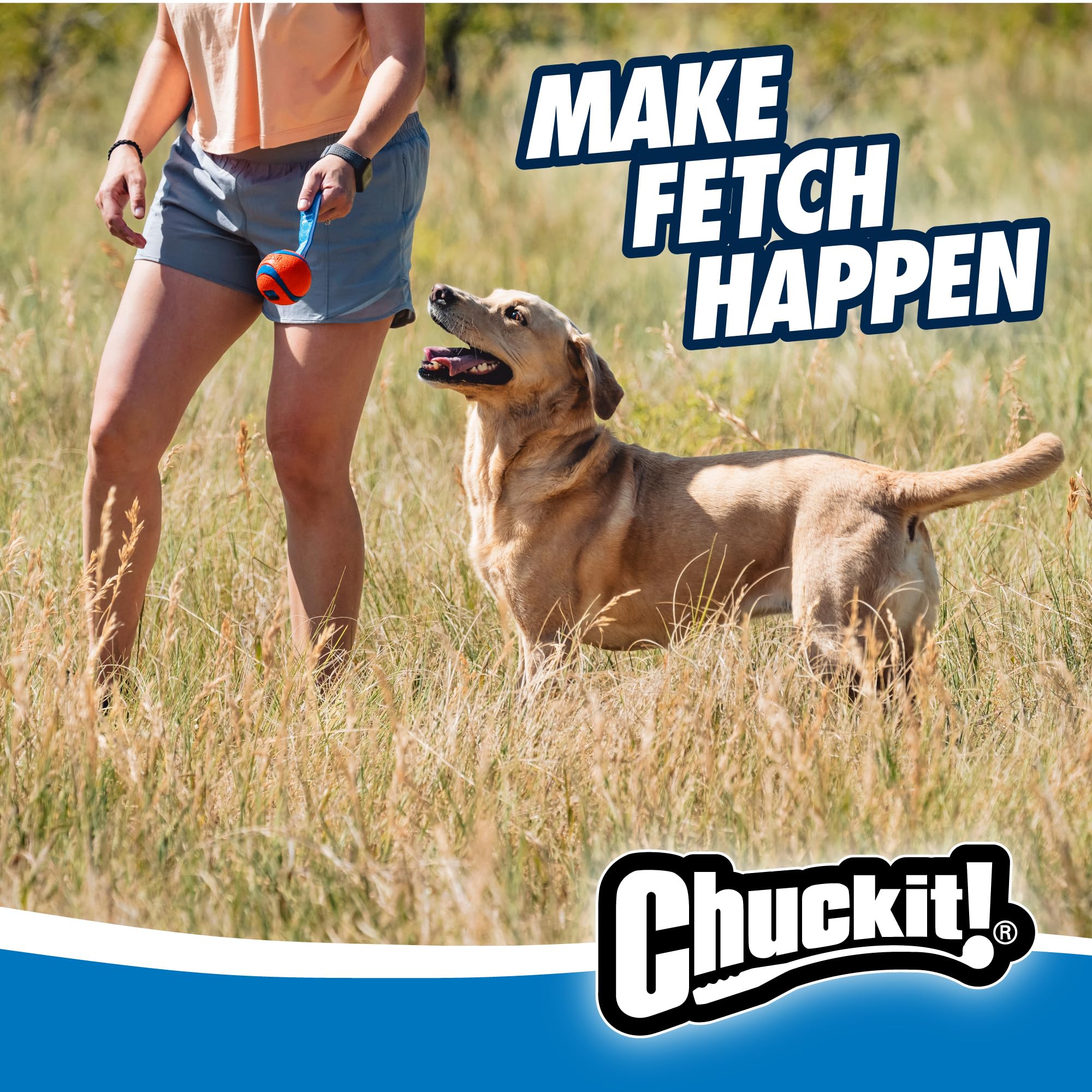Chuckit! Ultra Tug Dog Toy - Medium Rubber Fetch Ball for Dogs 20-60 lbs - Blue/Orange - Model 231201