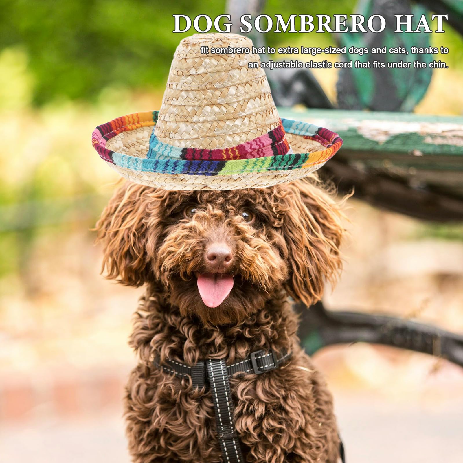 Popetpop Dog Sombrero Hat- Pet Mexican Sombrero Cap, Dog Sun Hat With Adjustable Chin Strap, Party Straw Hats For Small Dogs Pup