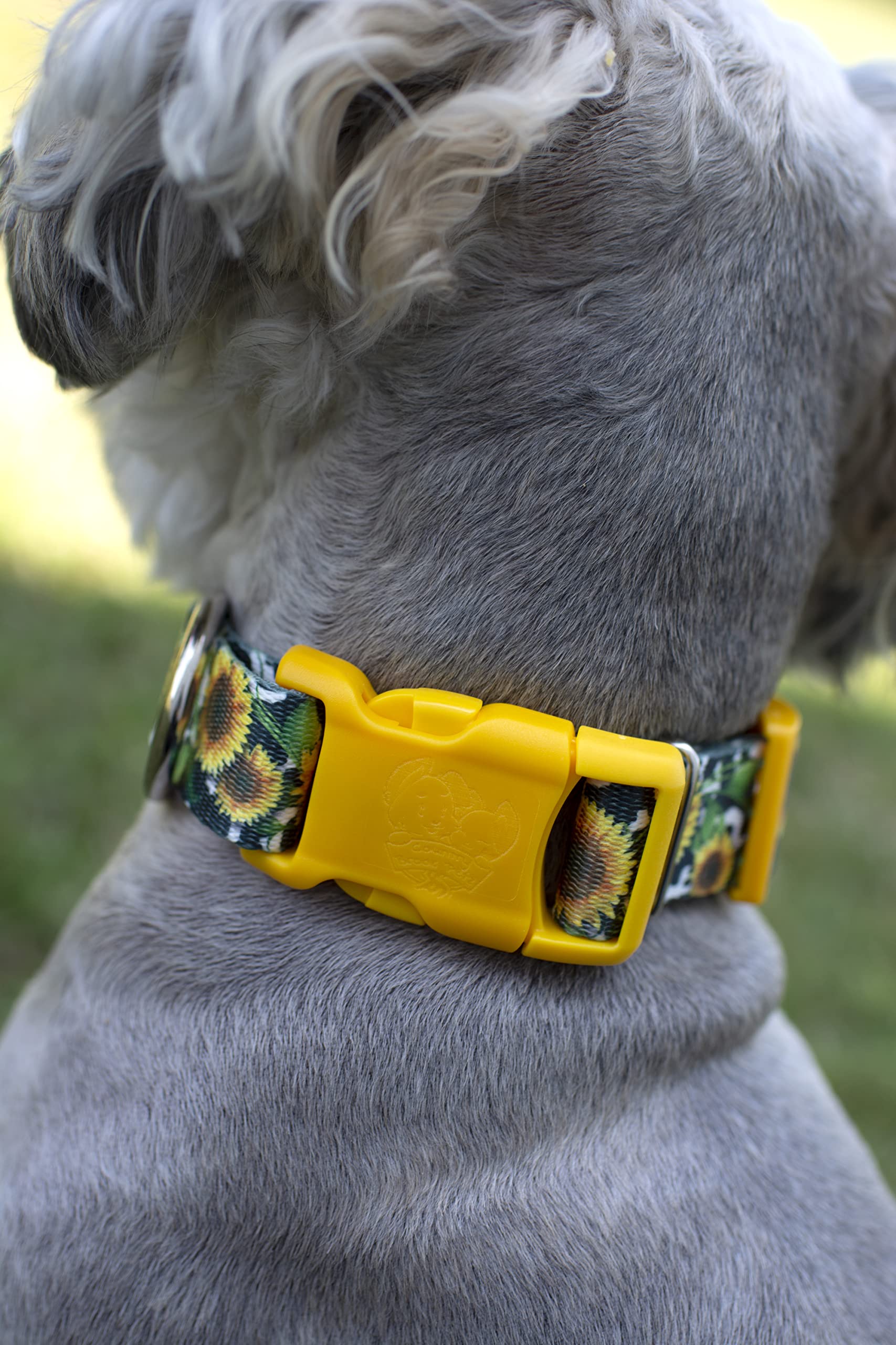Country Brook Petz - Deluxe Dairy Fields Dog Collar - Made In The U.S.A. - Country And Western Collection Featuring Rustic Desig
