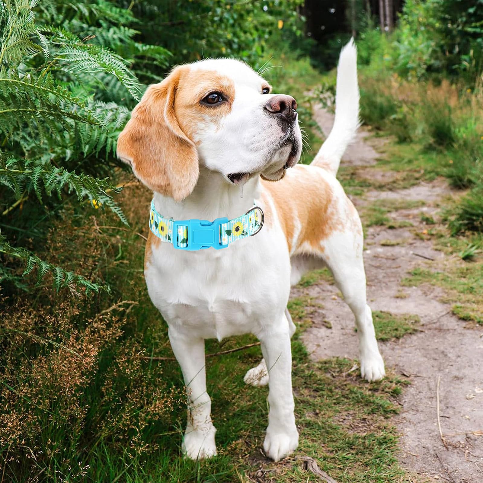 Bule Dog Collars For Large Dogs,Cute Girl Dog Collar With Sunflower Patterns,Adjustable Comfy Soft Durable Pet Collar For Small