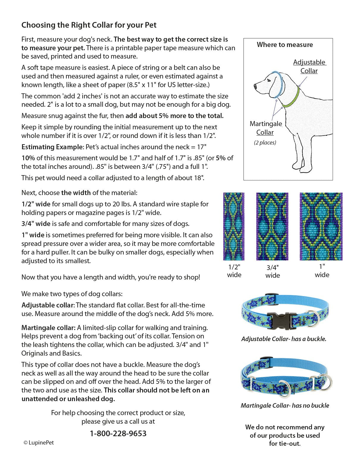 Martingale Dog Collar By Lupine Eco Collection 3/4'' Wide Tropical Sea Adjusts 14'' To 20''
