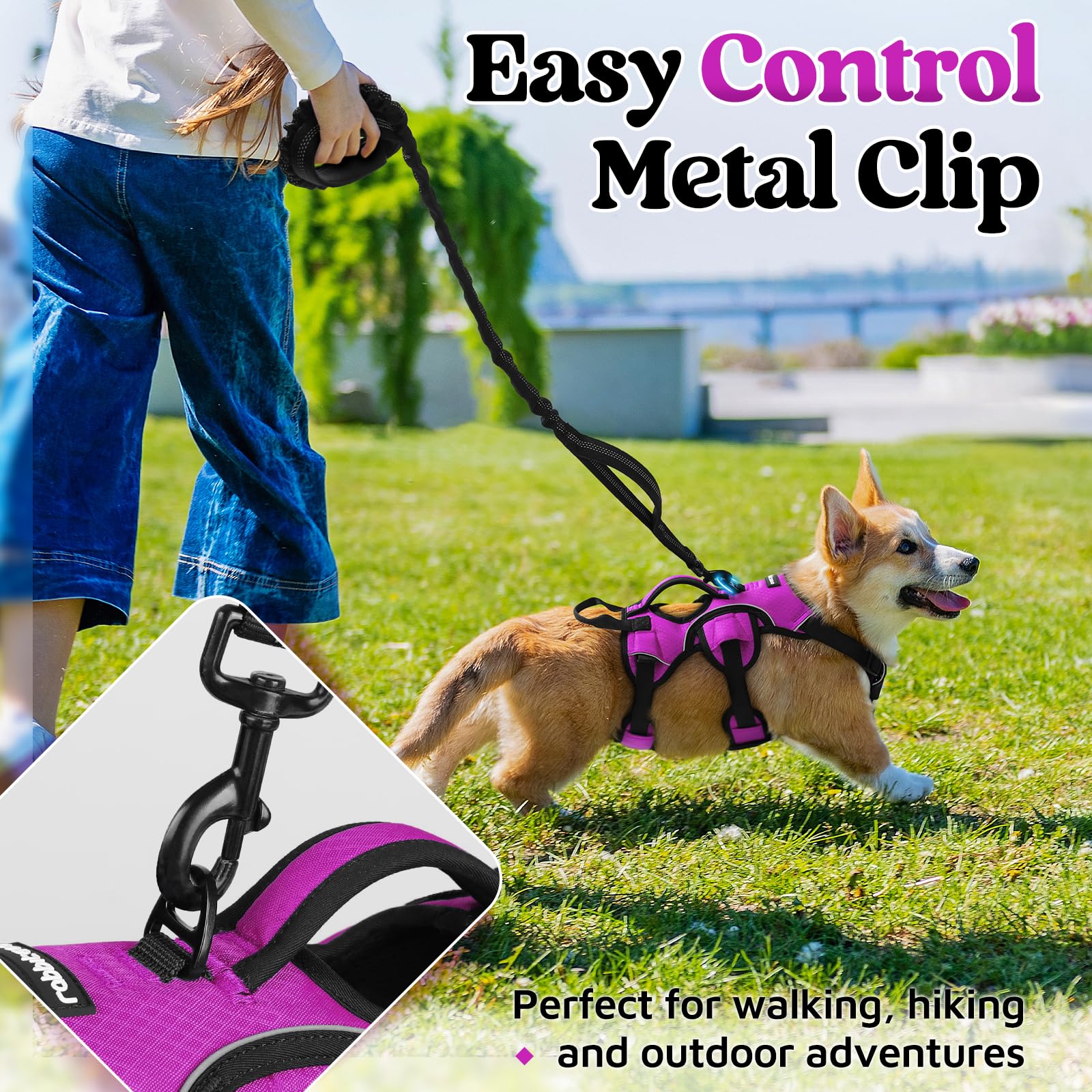 Rabbitgoo Escape Proof Dog Harness, Soft Padded Full Body Pet Harness, Reflective Adjustable No Pull Vest With Lift Handle And L