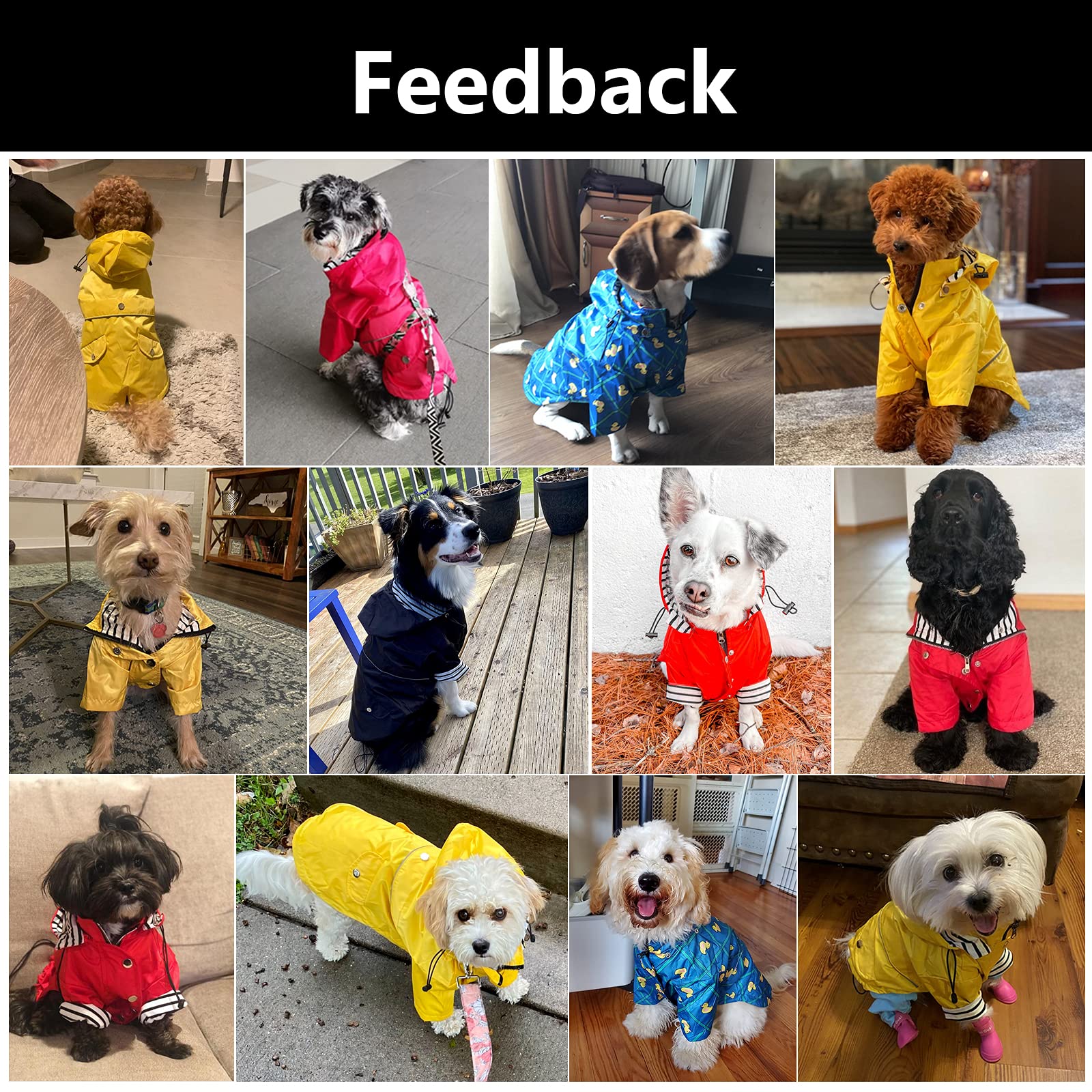 Dog Zip Up Dog Raincoat With Reflective Buttons, Rain/Water Resistant, Adjustable Drawstring, Removable Hood, Stylish Premium Dog Raincoats - Size Xs To Xxl Available - Dark Blue - Small