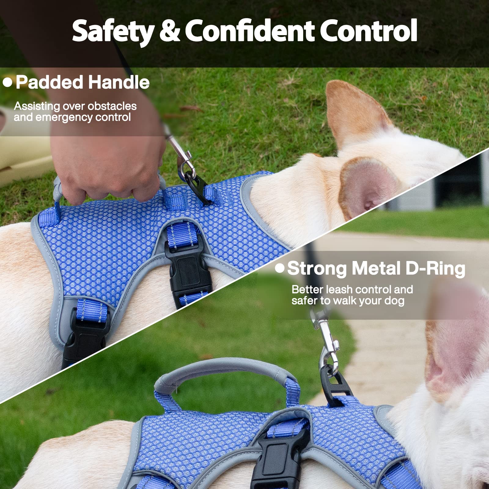 Escape Free Dog Harness, No Slip Harness With Lift Handle, Adjustable No Pull Vest With Soft Breathable Padded And Leash Clip For Medium And Large Dogs Walking Hiking Training (Technicolor Blue,Xl)