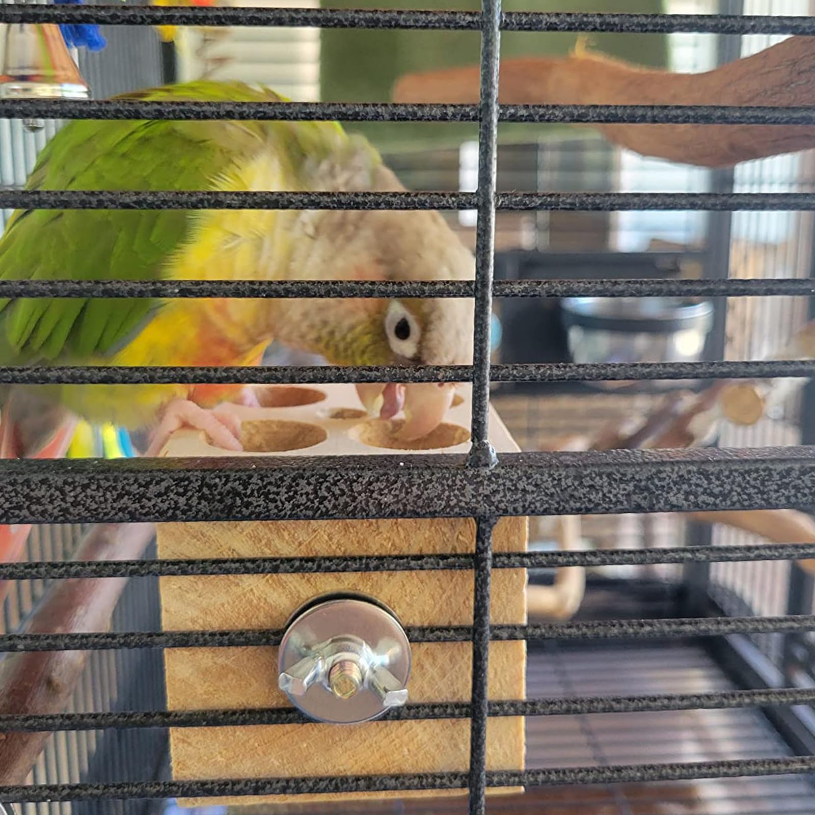QBLEEV Bird Wooden Block Puzzle Parrot Chicken Foraging Toys, Small Animal Shredding Teething Parakeet Cockatiel Conure Budgie C
