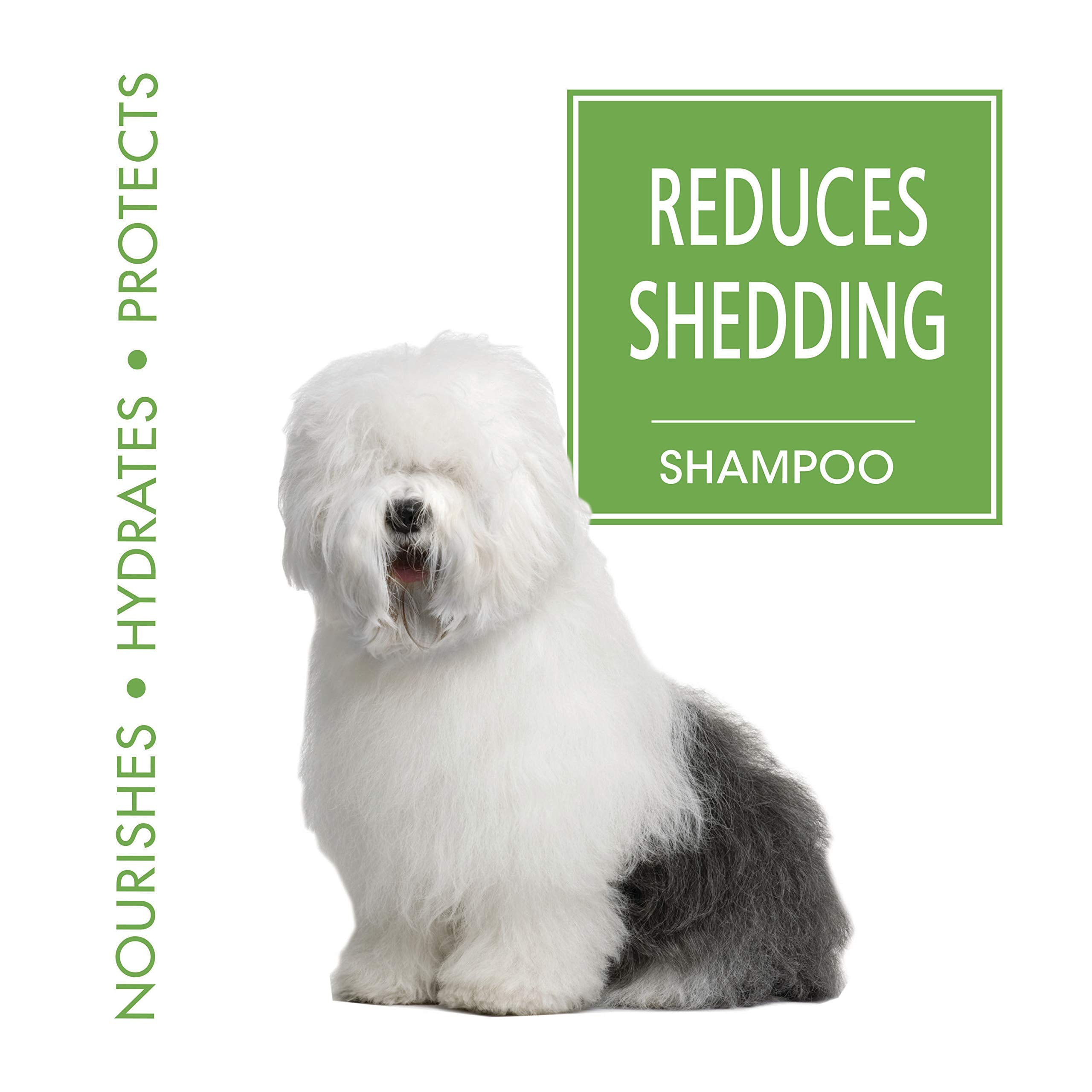 Four Paws Magic Coat Dog Shampoo, 16 oz, Plastic - Made in USA, Dog Grooming & Bathing Supplies