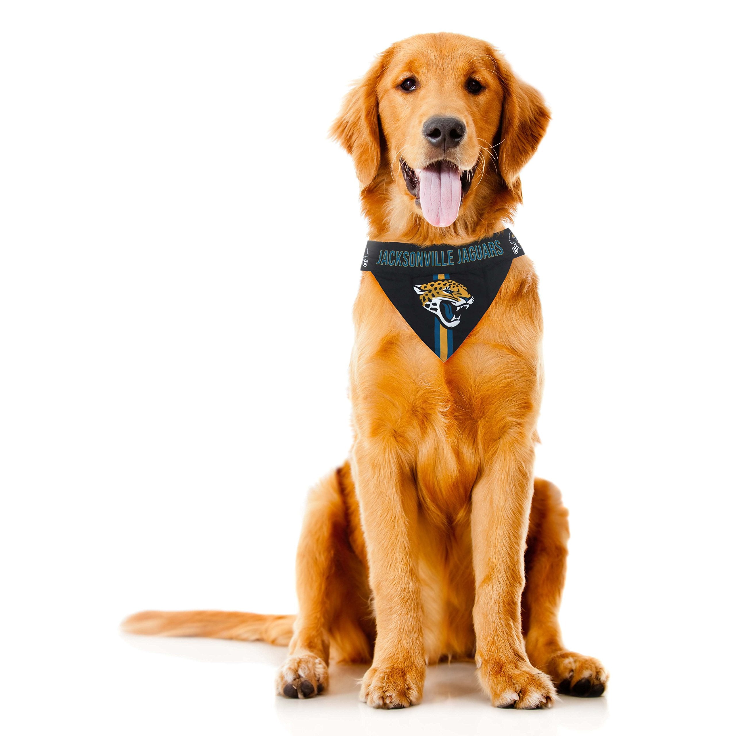 Littlearth Unisex-Adult Nfl Jacksonville Jaguars Pet Bandana, Team Color, X-Small