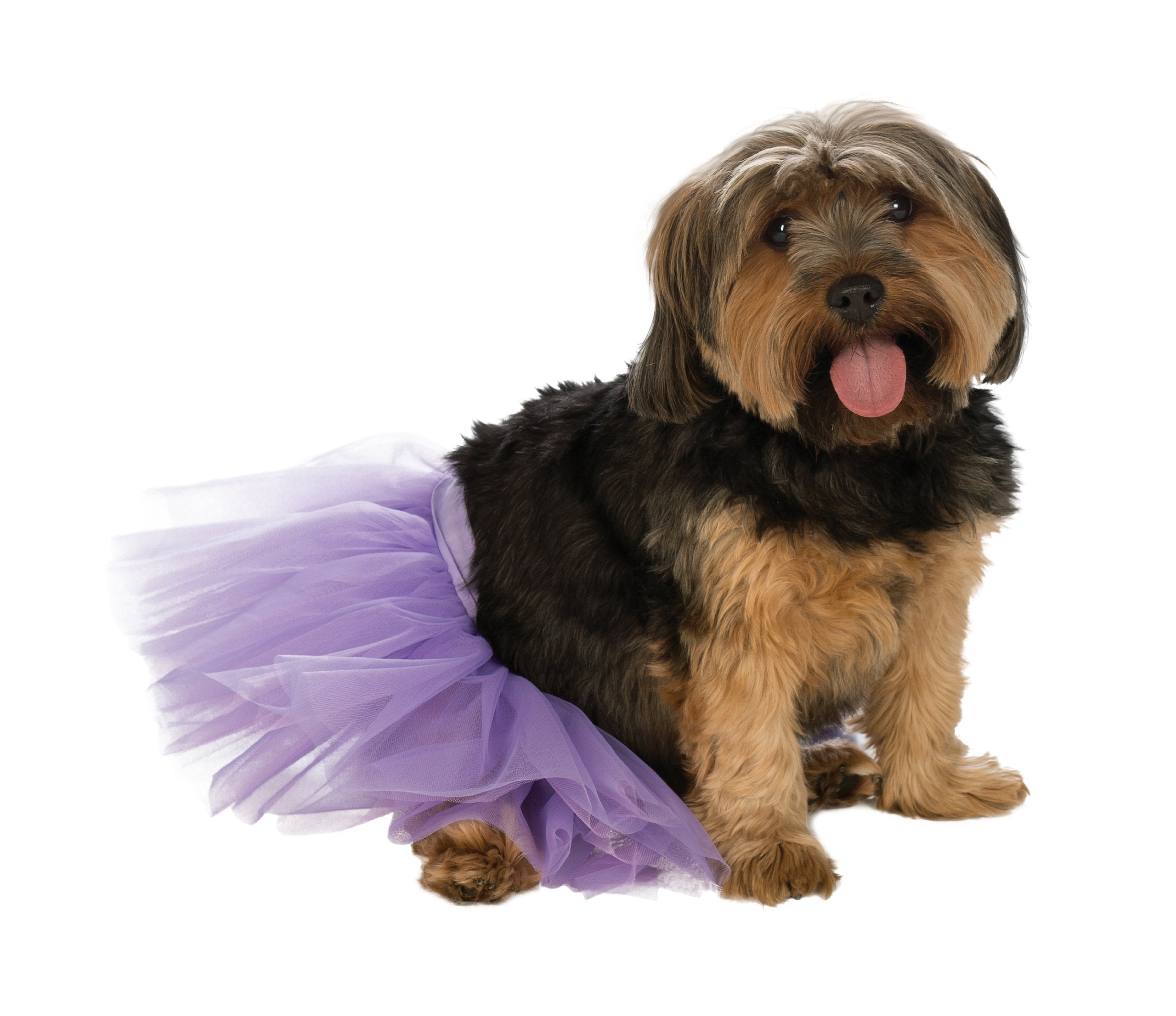Rubie'S Pet Tutu, Purple, Medium/Large