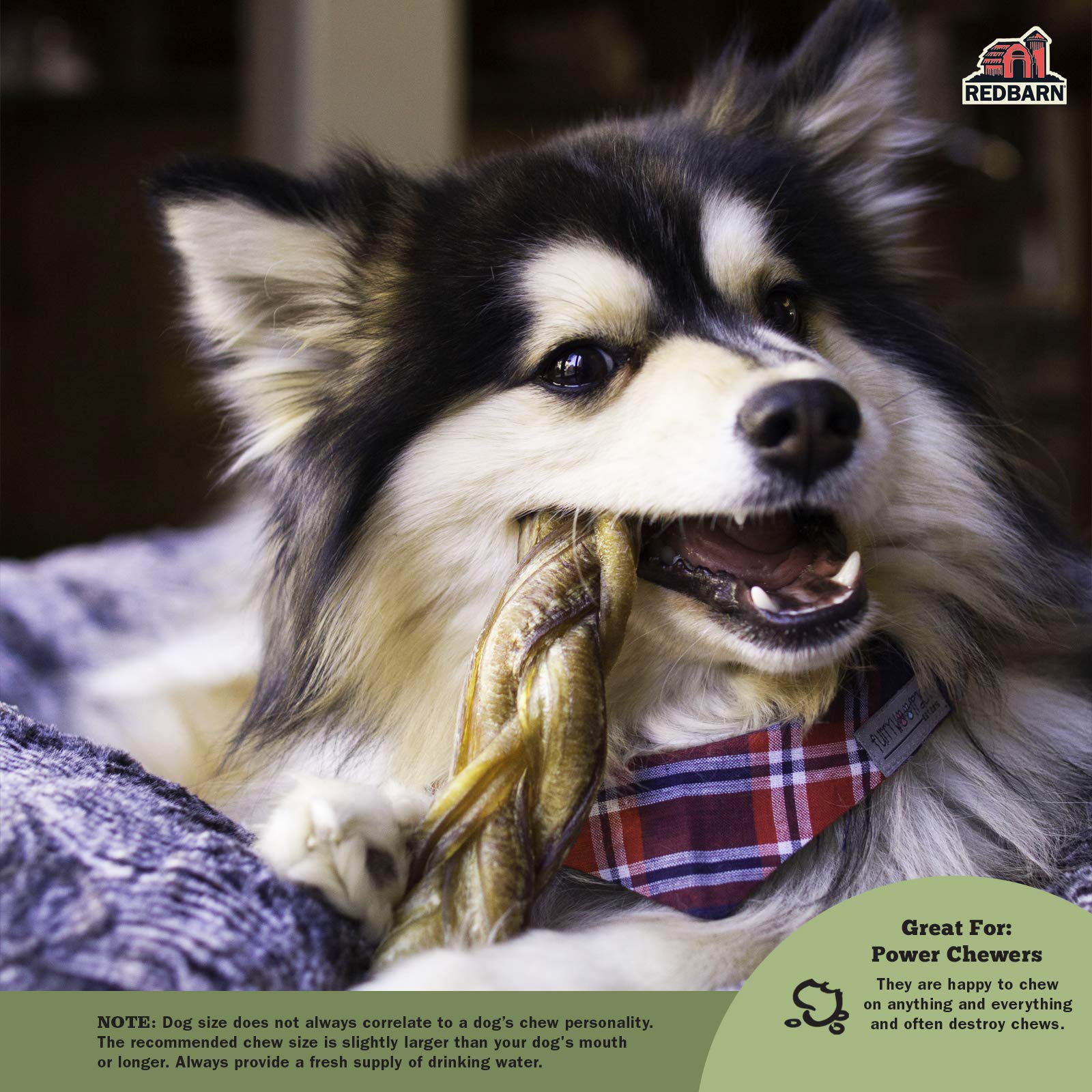 Redbarn Pet Products 12 Braided Bully Sticks for Dogs 2-Count, Pack of 12