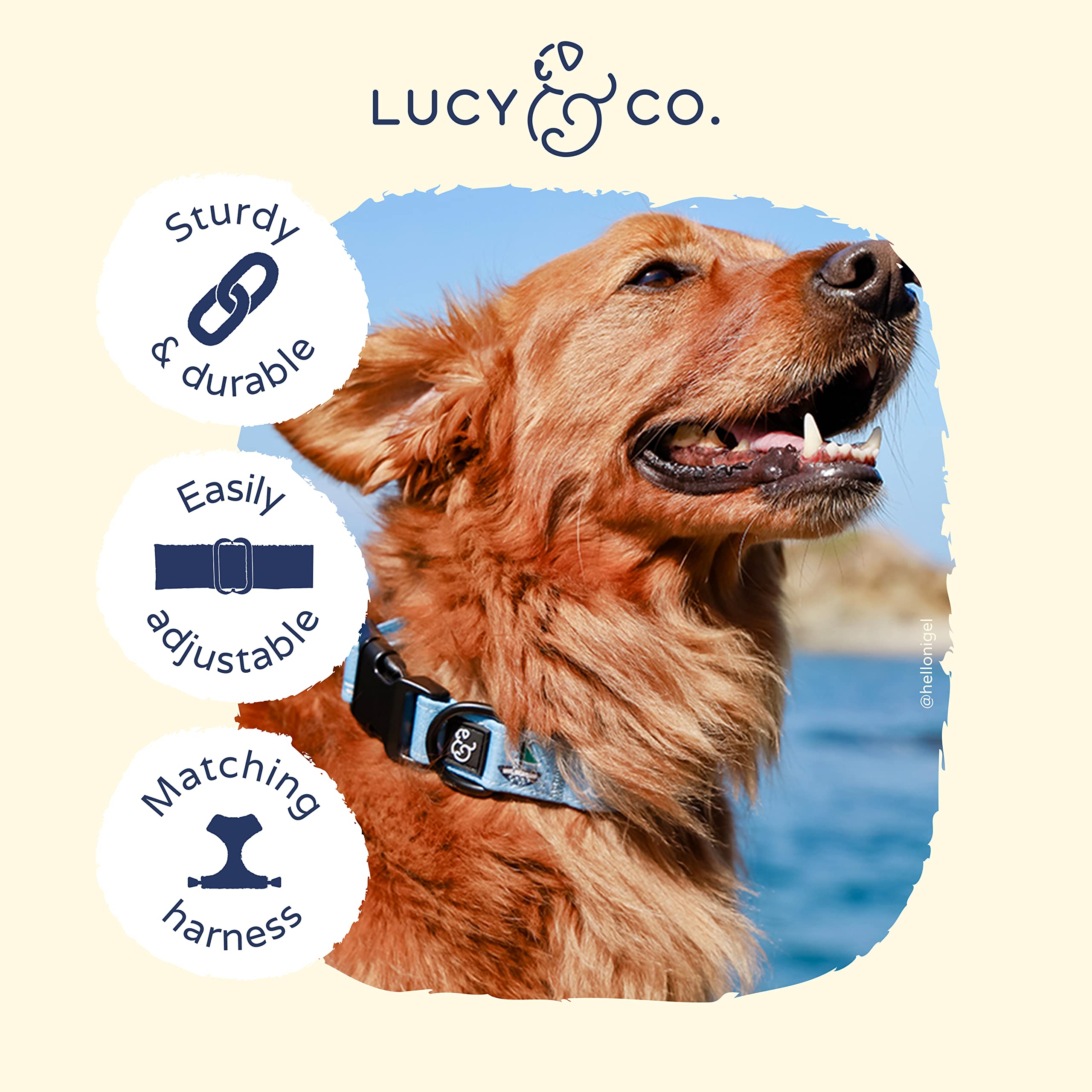 Lucy & Co. Set Sail Adjustable Dog Collar - Nylon, Small, Blue with Green & Yellow Sailboats, Buckle Closure for Pets