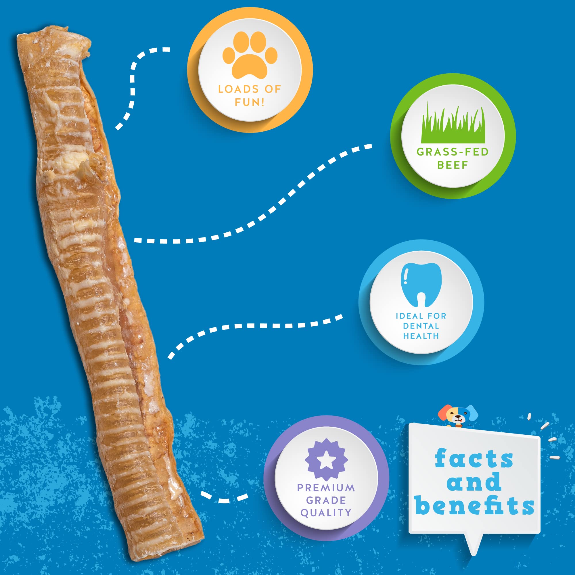 Jack&Pup 6 Inch Trachea Dog Chew | Single Ingredient Beef Trachea Treats for Dogs | Naturally Rich in Glucosamine and Chondroiti